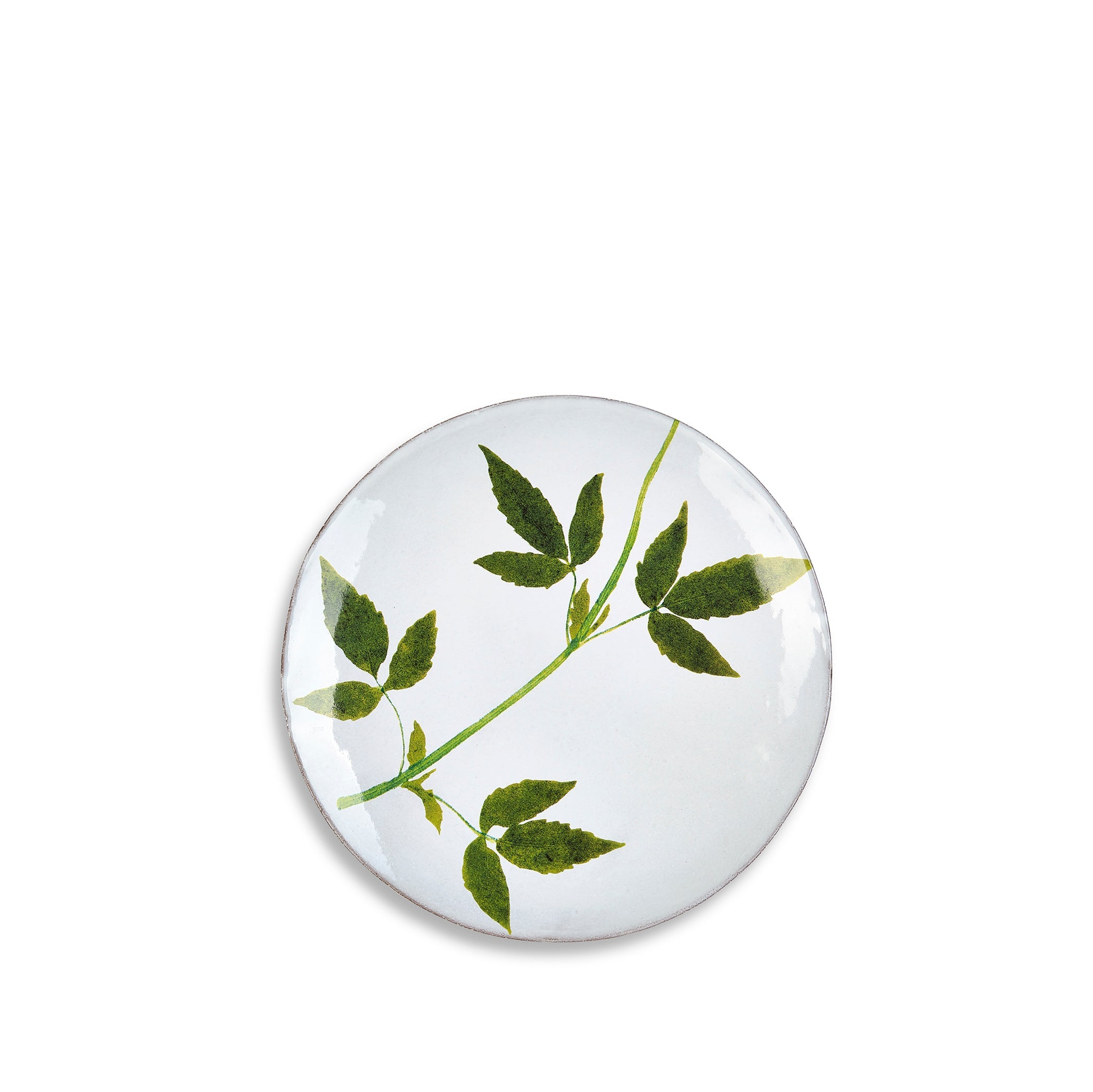 Drachocephalum Leaf Plate by Astier de Villatte, 24cm
