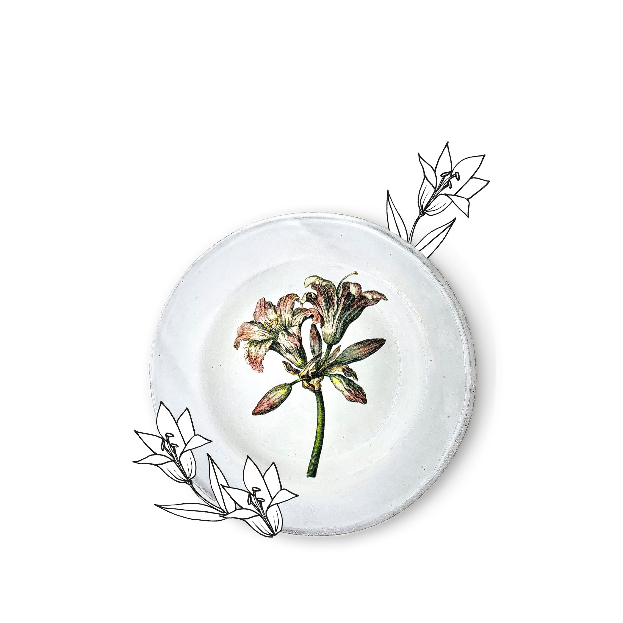 Bella Donna Lilly Flower Plate by Astier de Villatte, 22cm
