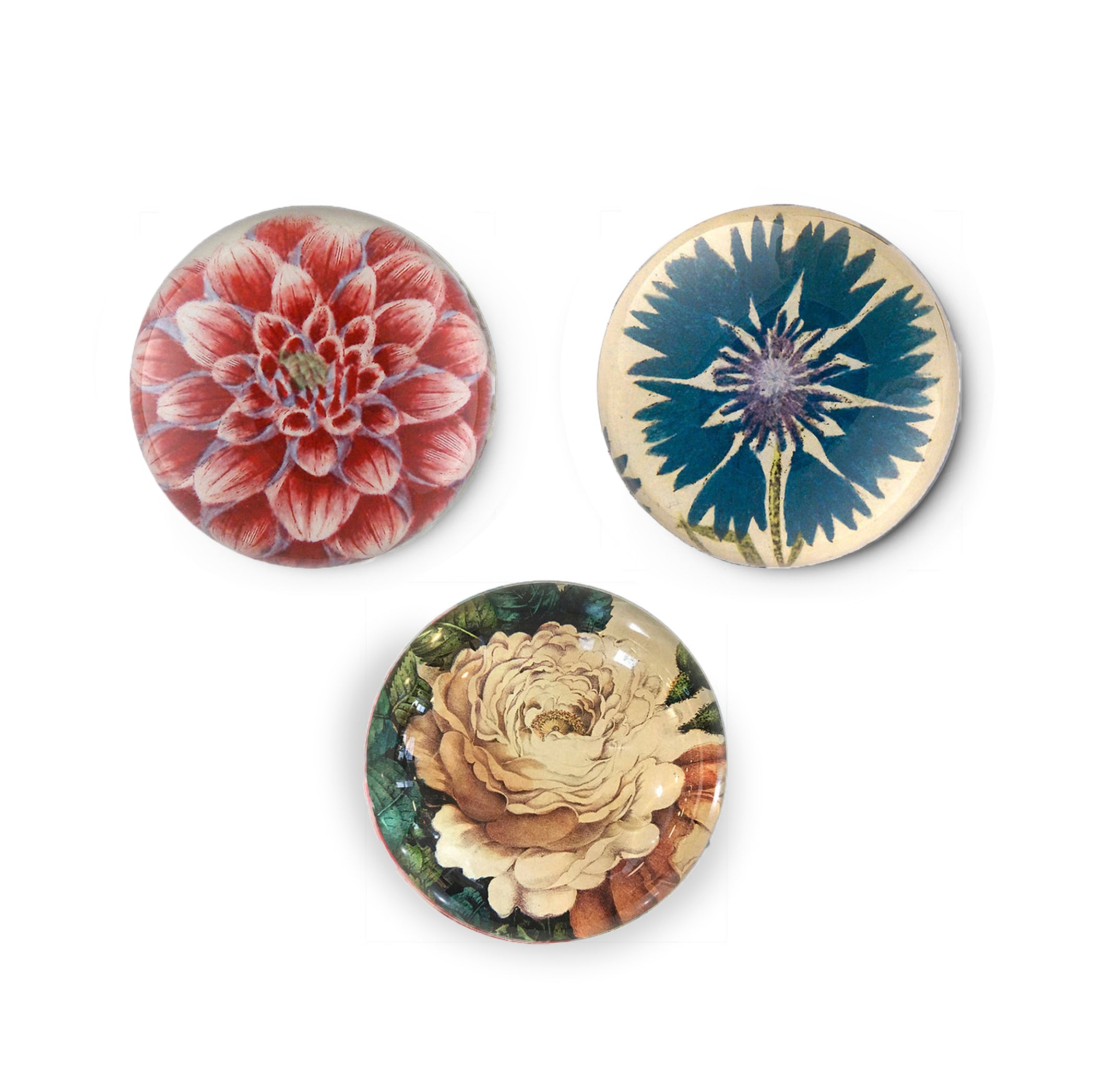 John Derian 'Purple Dahlia' Paperweight, 9cm