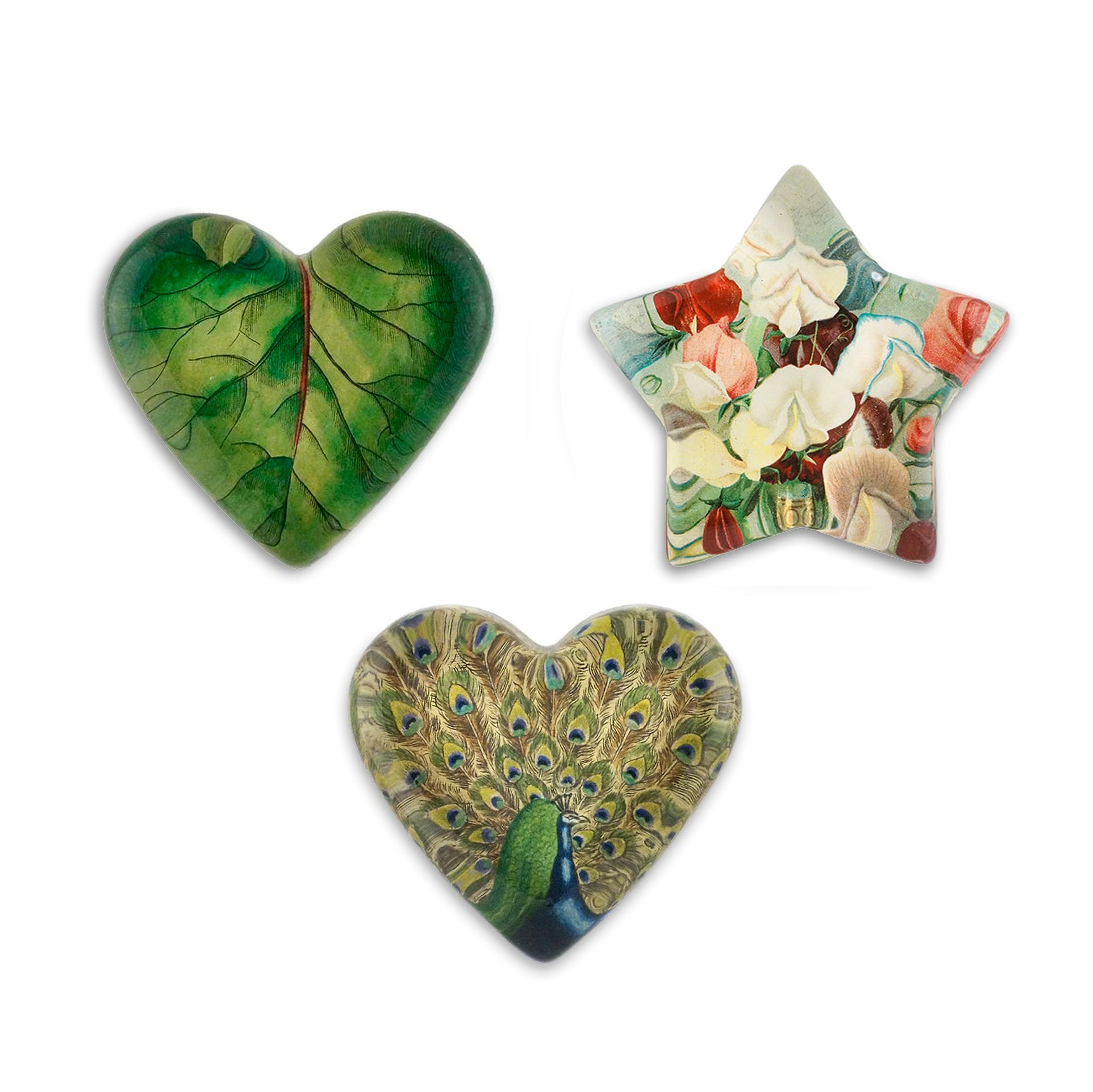 John Derian 'Corsage Star' Paperweight, 11cm