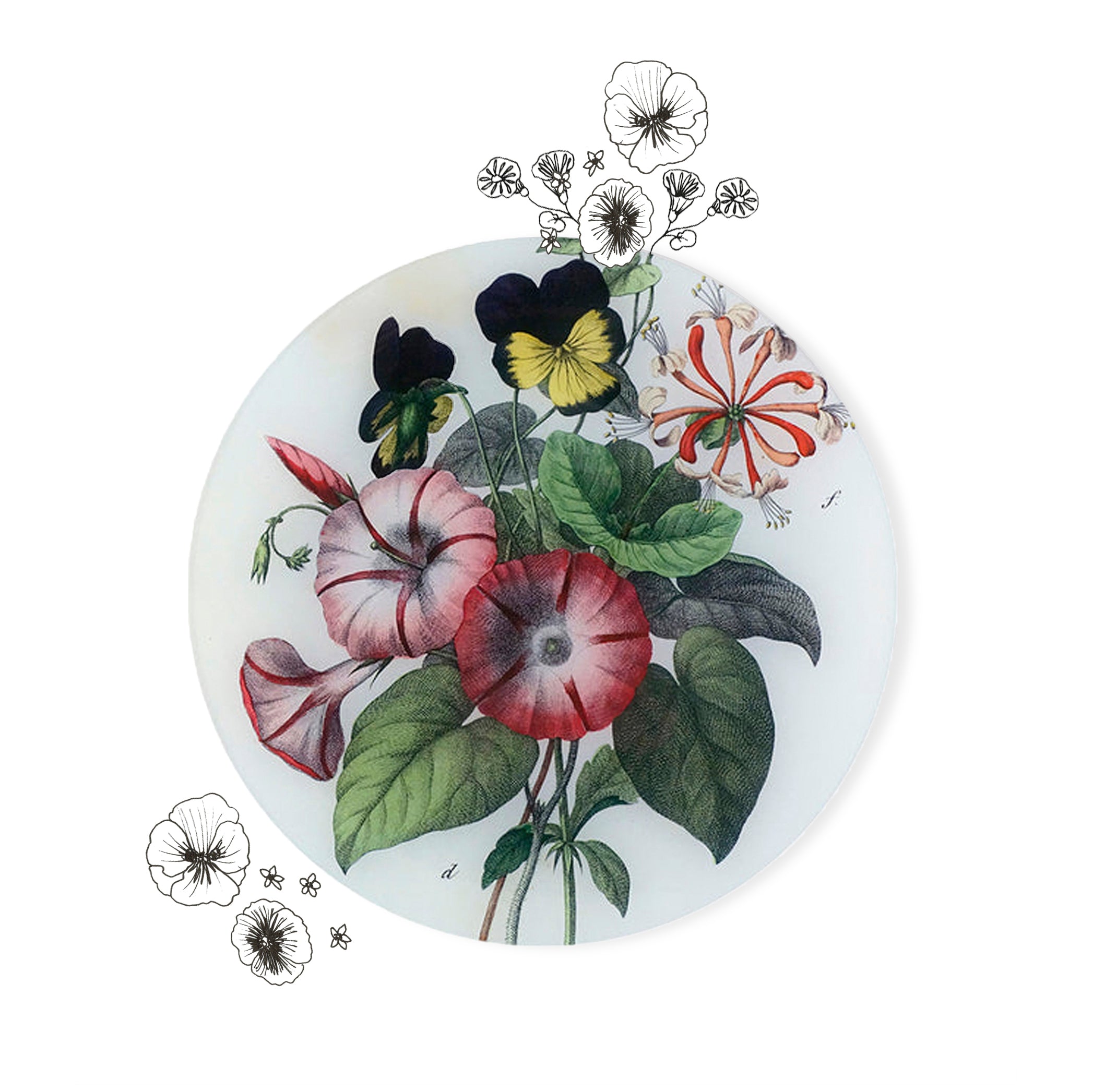 John Derian 'Pansy Honeysuckle & Morning Glory' Plate, 28cm