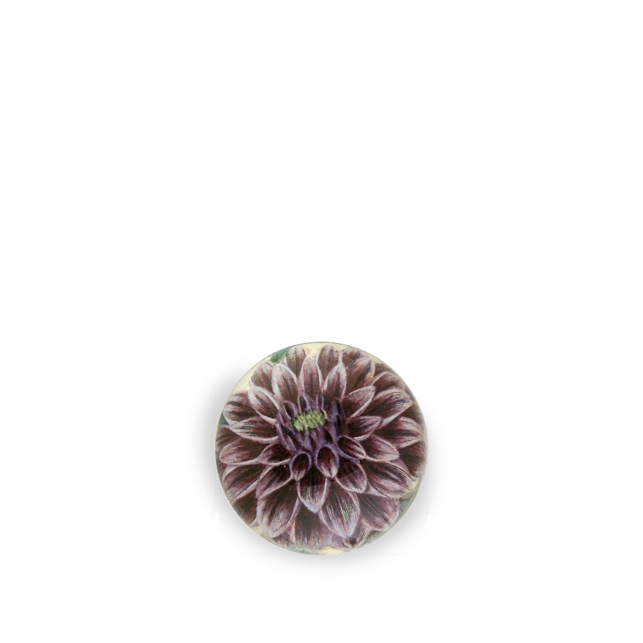 John Derian 'Purple Dahlia' Paperweight, 9cm