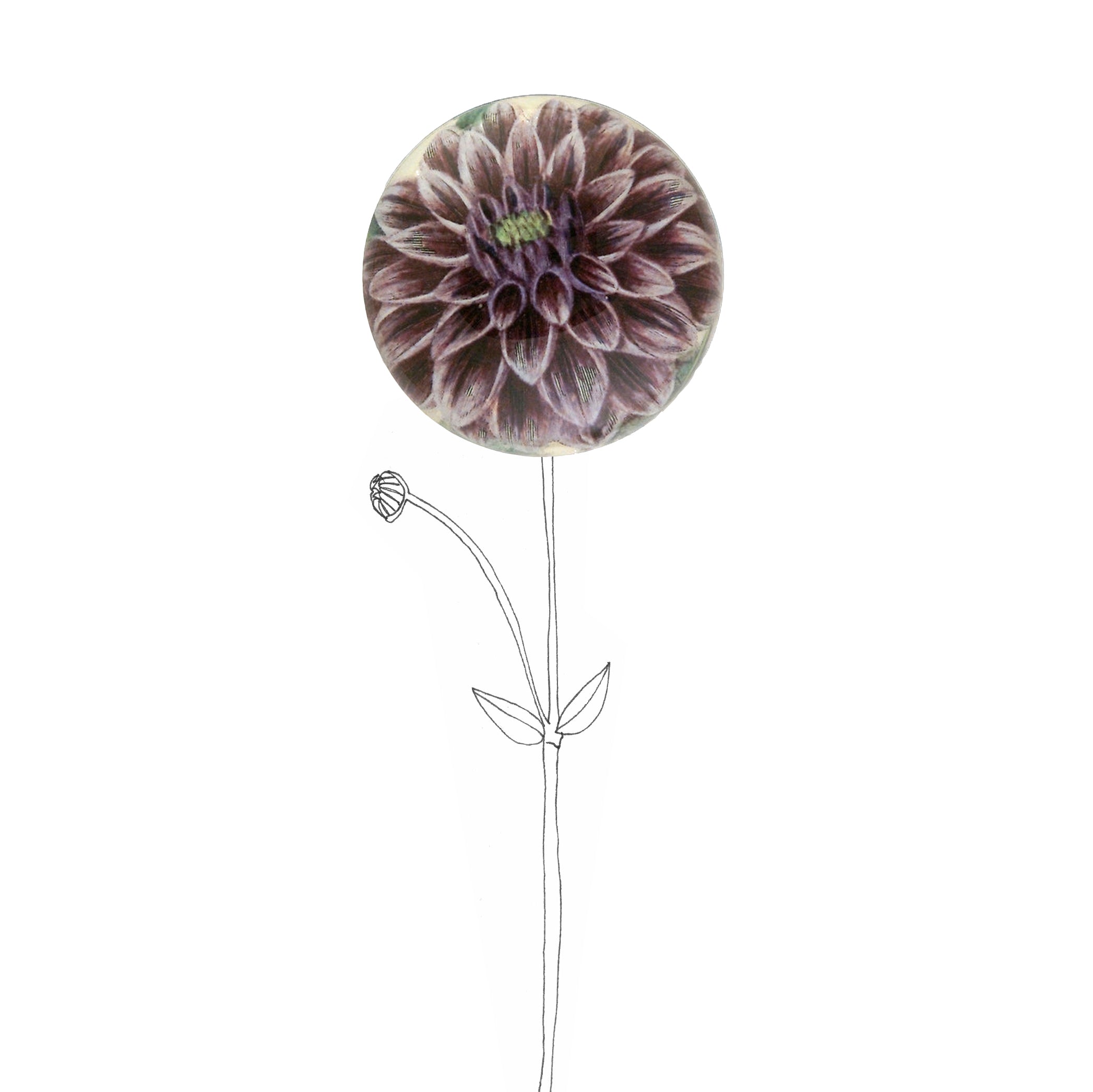 John Derian 'Purple Dahlia' Paperweight, 9cm
