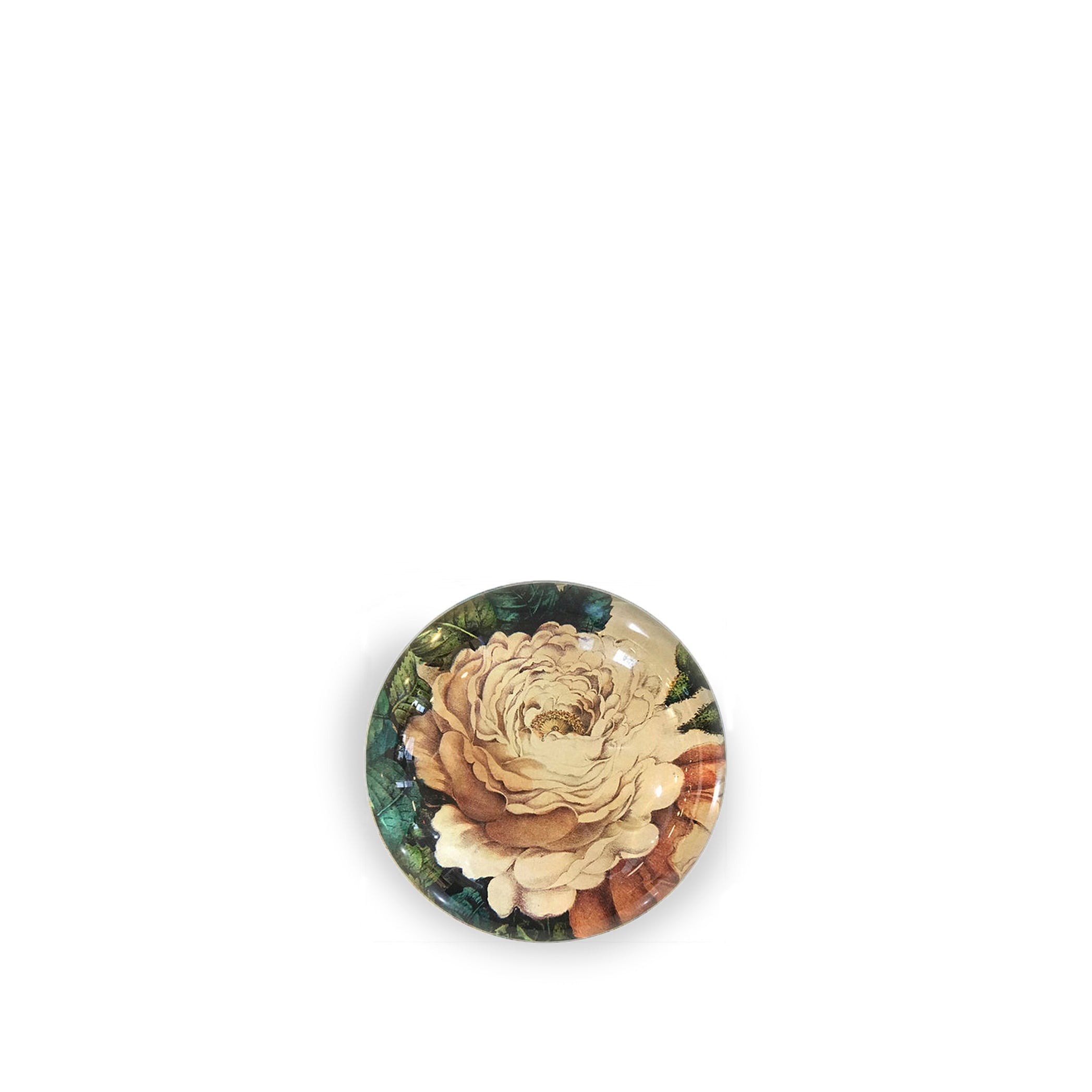 John Derian 'Sepia Rose Close Up' Paperweight, 9cm