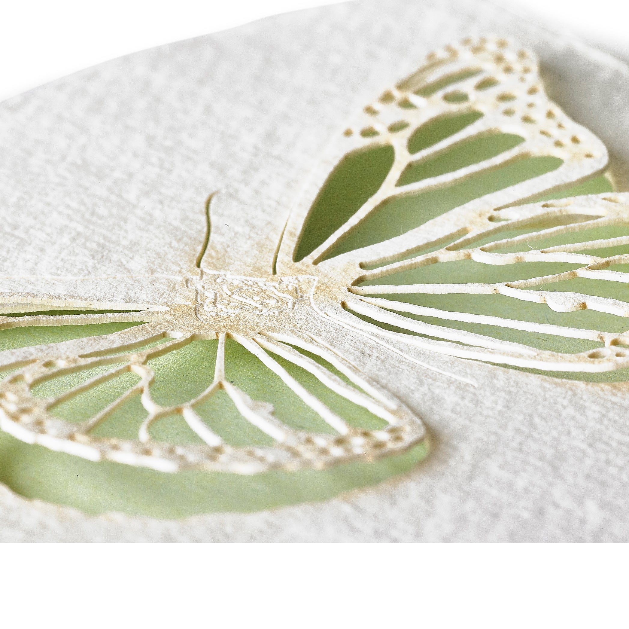 Handmade Paper Greeting Card with Butterfly, 15cm x 10cm