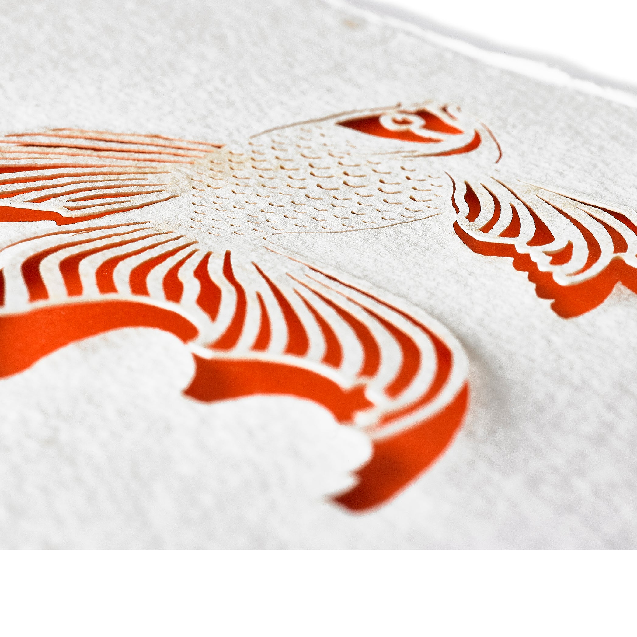 Handmade Paper Greeting Card with Fish, 15cm x 10cm