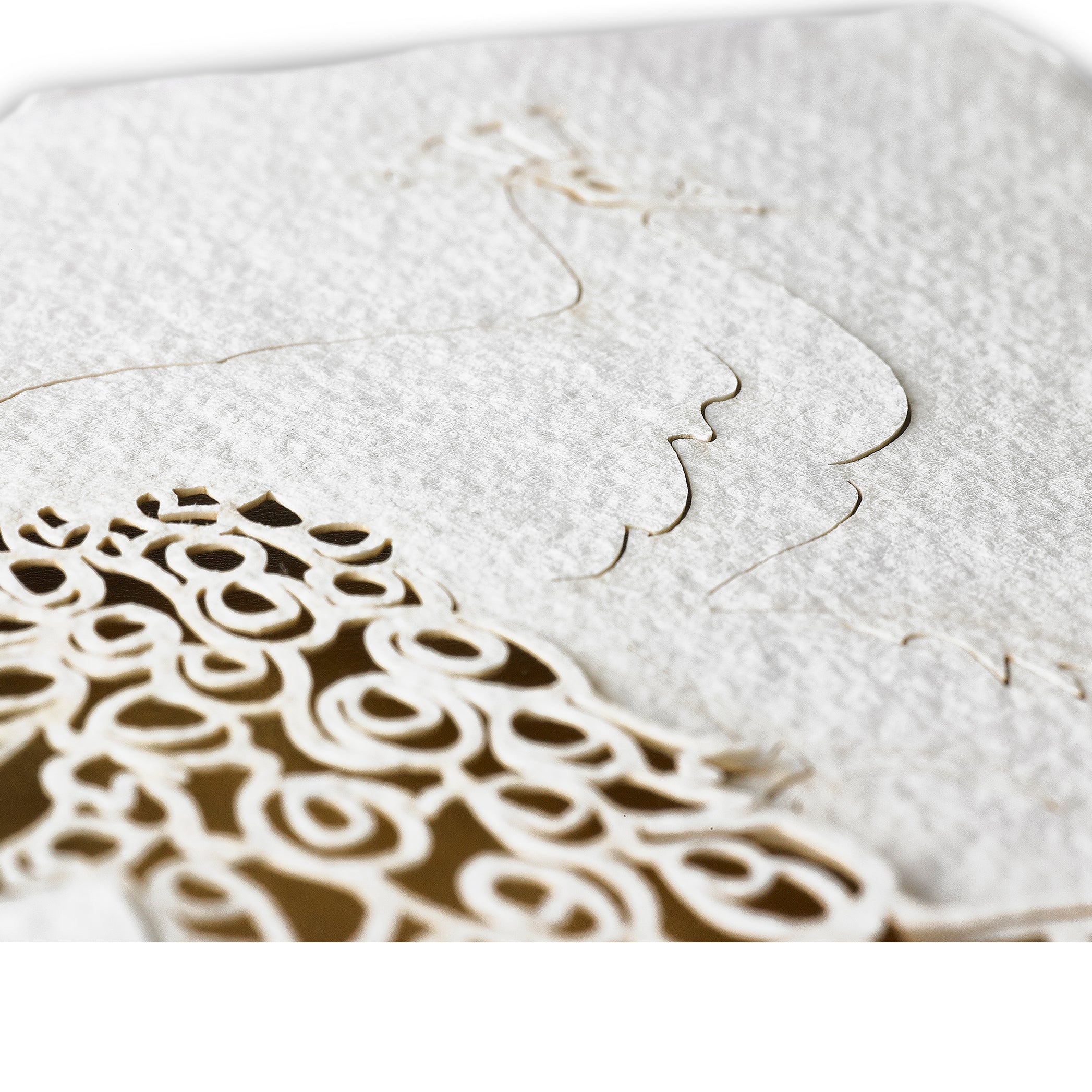 Handmade Paper Greeting Card with Peacock, 15cm x 10cm