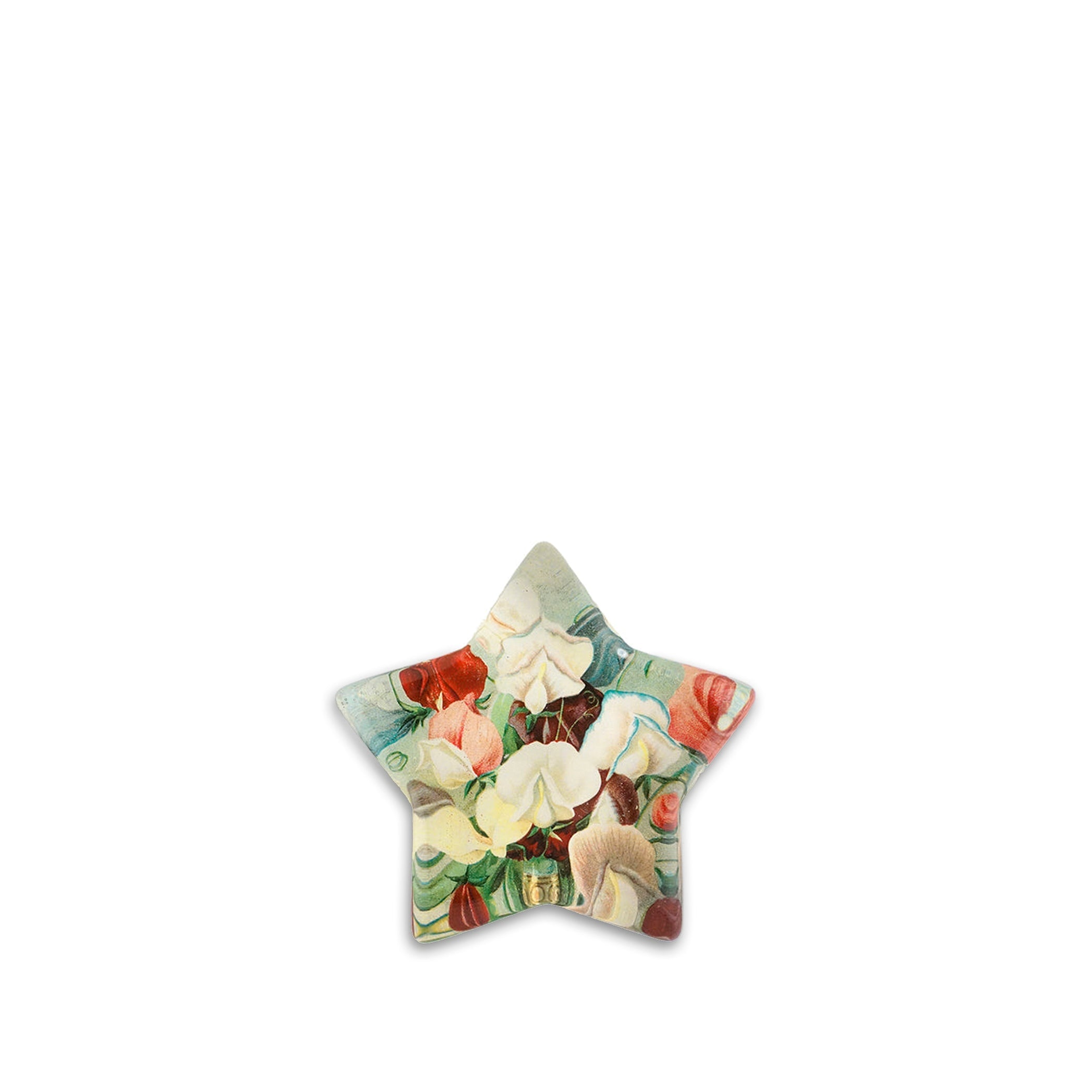 John Derian 'Corsage Star' Paperweight, 11cm