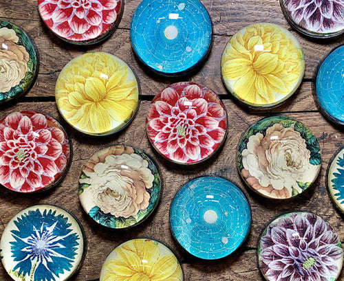 John Derian 'Yellow Narcissus On Stem' Paperweight, 9cm