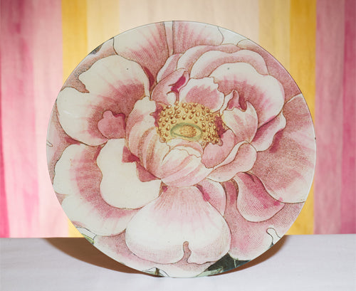 John Derian 'Variegated Camellia' Plate, 28cm
