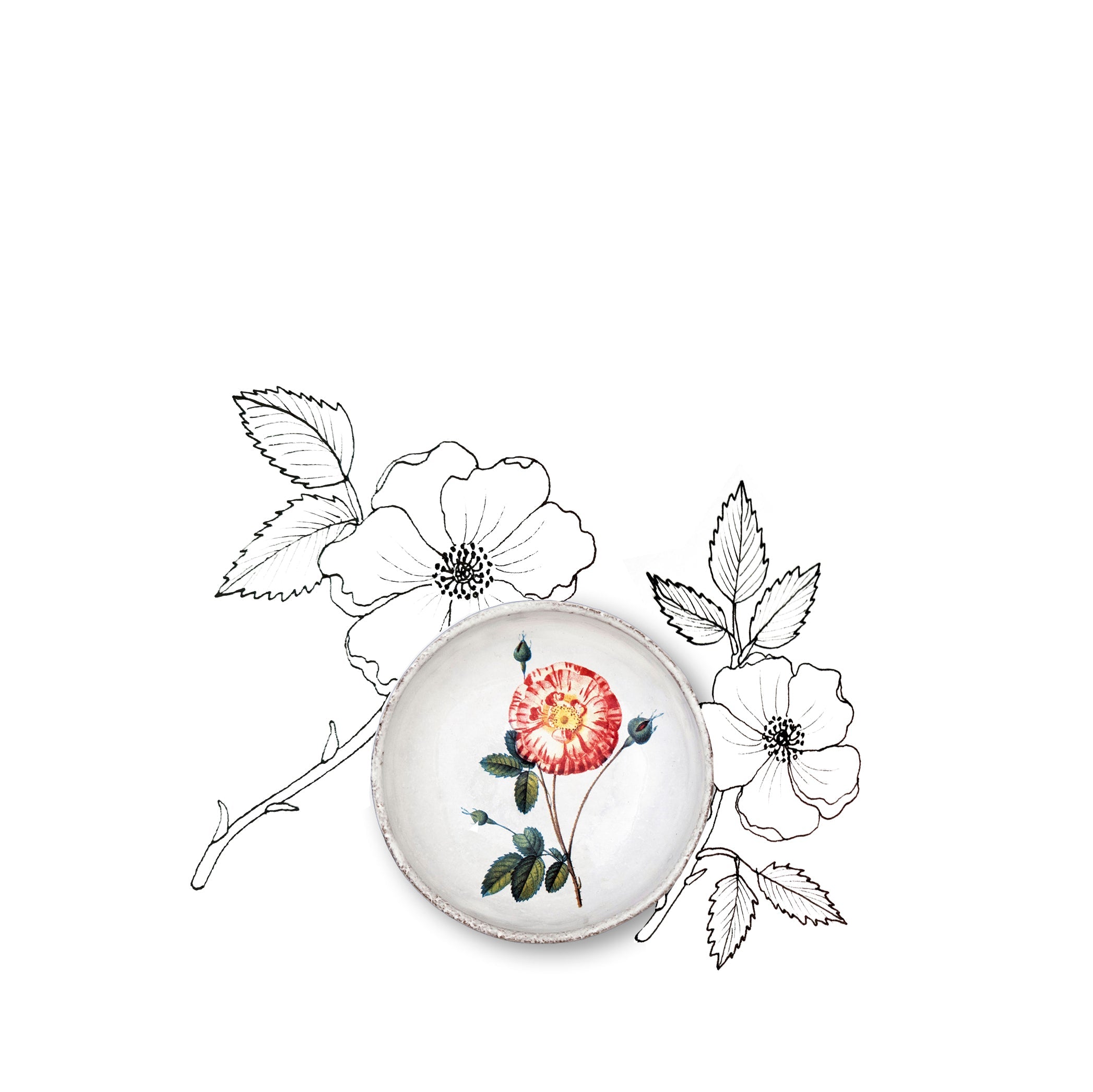 Panachée Rose Dish by Astier de Villatte, 11cm