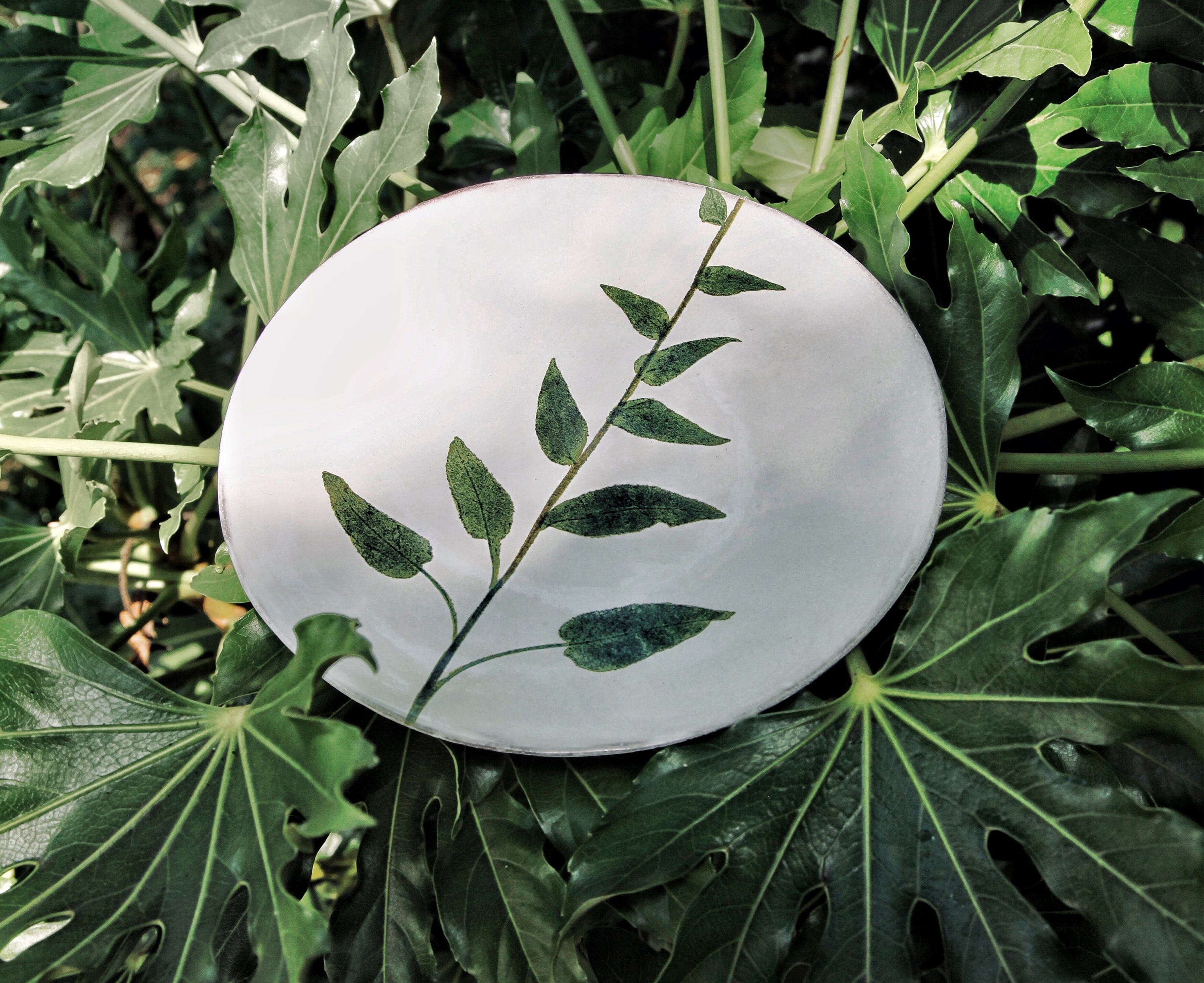 Campanula Leaf Plate by Astier de Villatte, 24cm