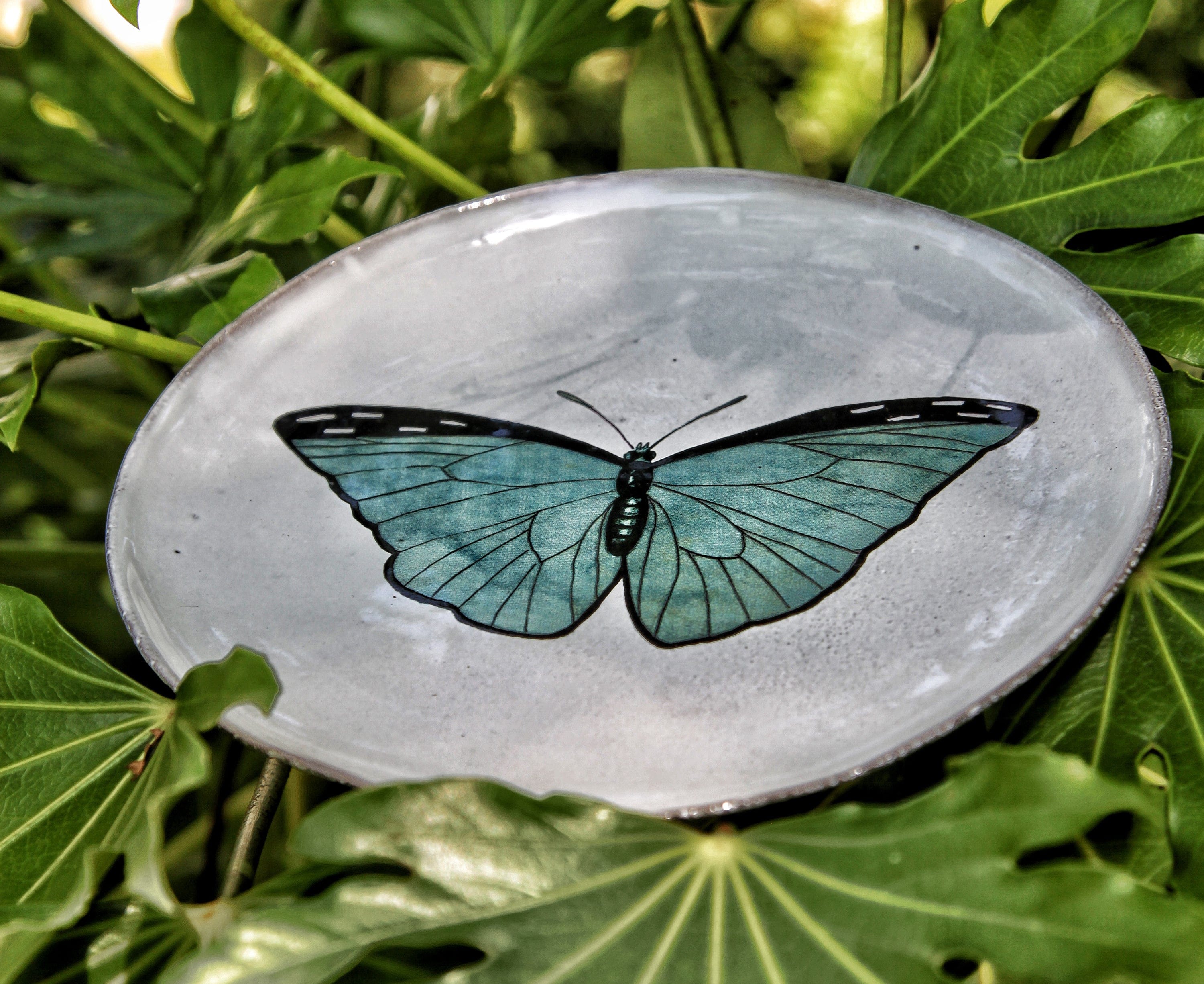 Blue Butterfly Dinner Plate by Astier de Villatte, 20.5cm