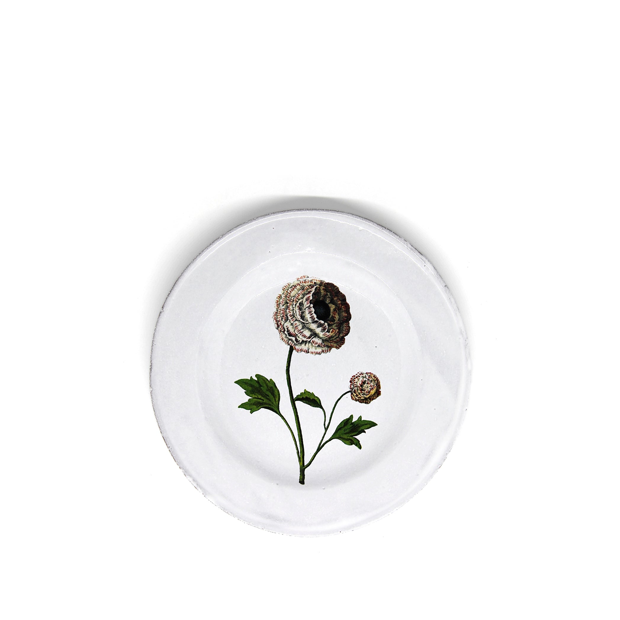 Indian King Ranunculus Plate by Astier de Villatte, 22cm