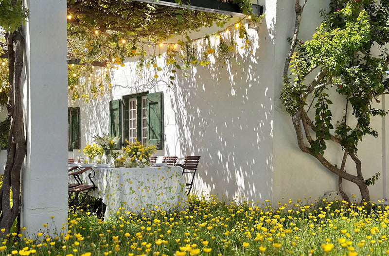 What's Up, Buttercup