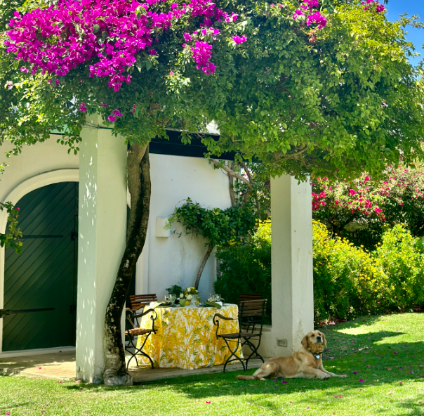 Two joyful ways to style your Mimosa for Easter💛