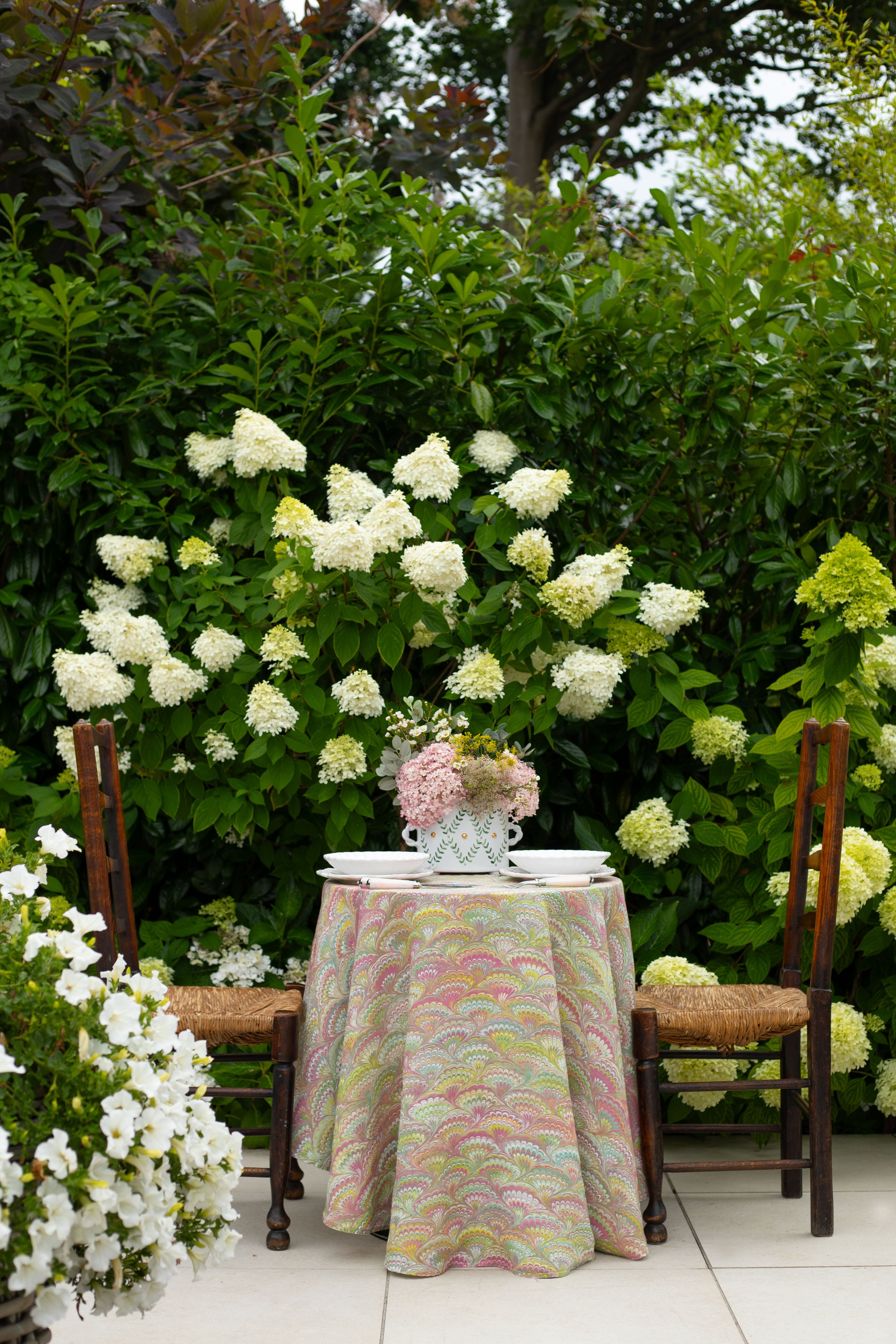 Marbled Beauty, Reimagined