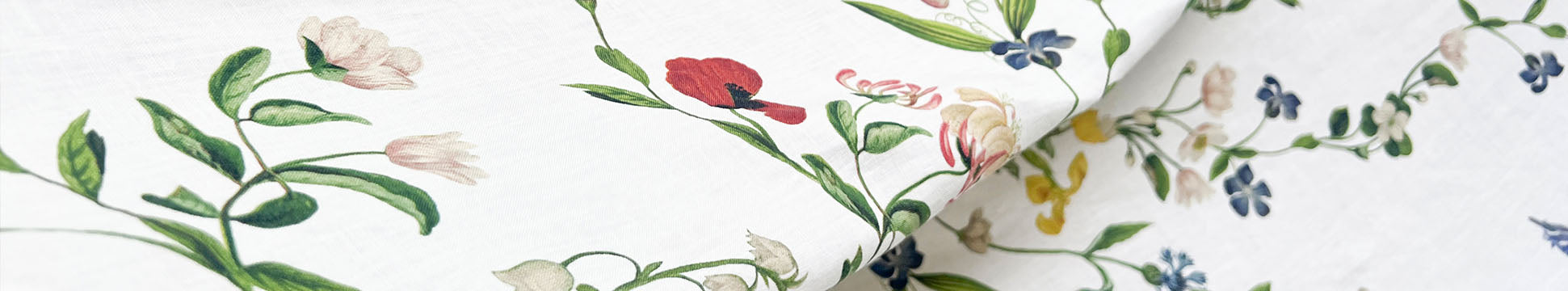 Botanical Wildflower