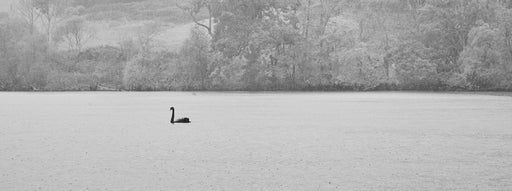 S&B x Gleneagles Tablescape