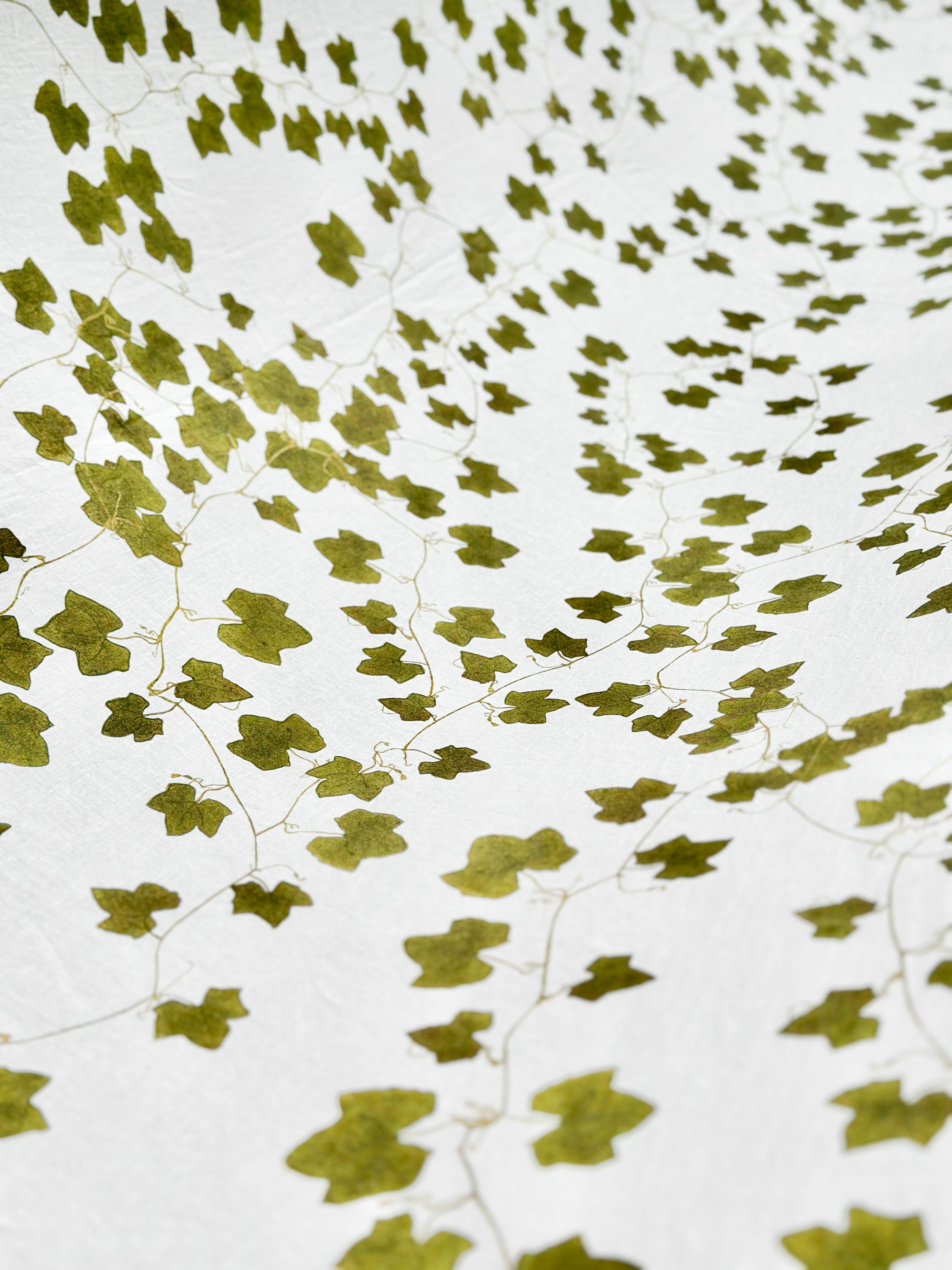 Ivy Autumnal Tablescape