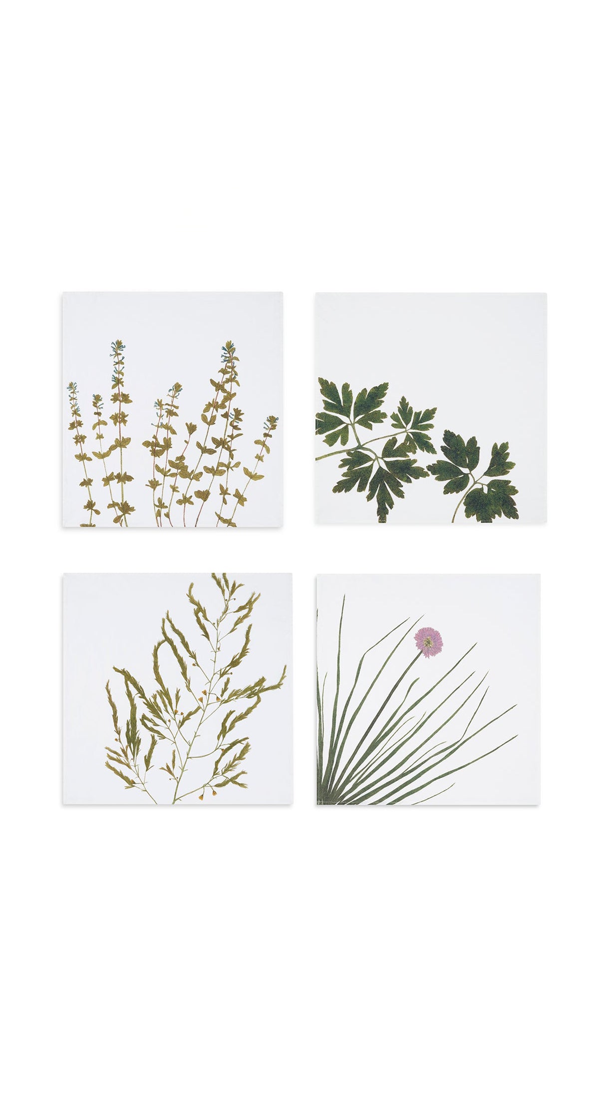 Set of Four 'Gastronomic' Herb Linen Napkins, 50x50cm