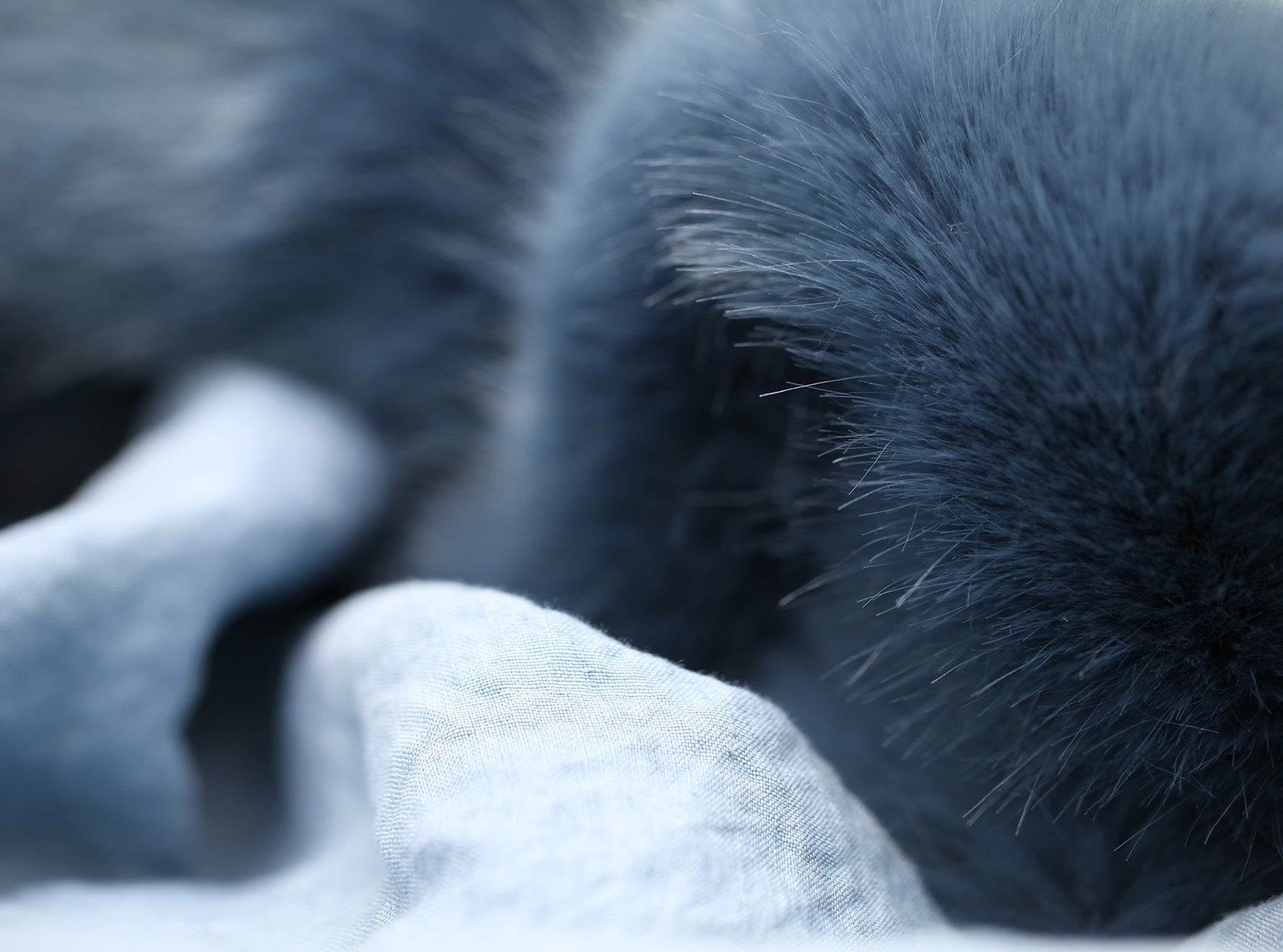 Summerill & Bishop x Shrimps Hand Painted Linen and Faux Fur Tablecloth in Powder Blue