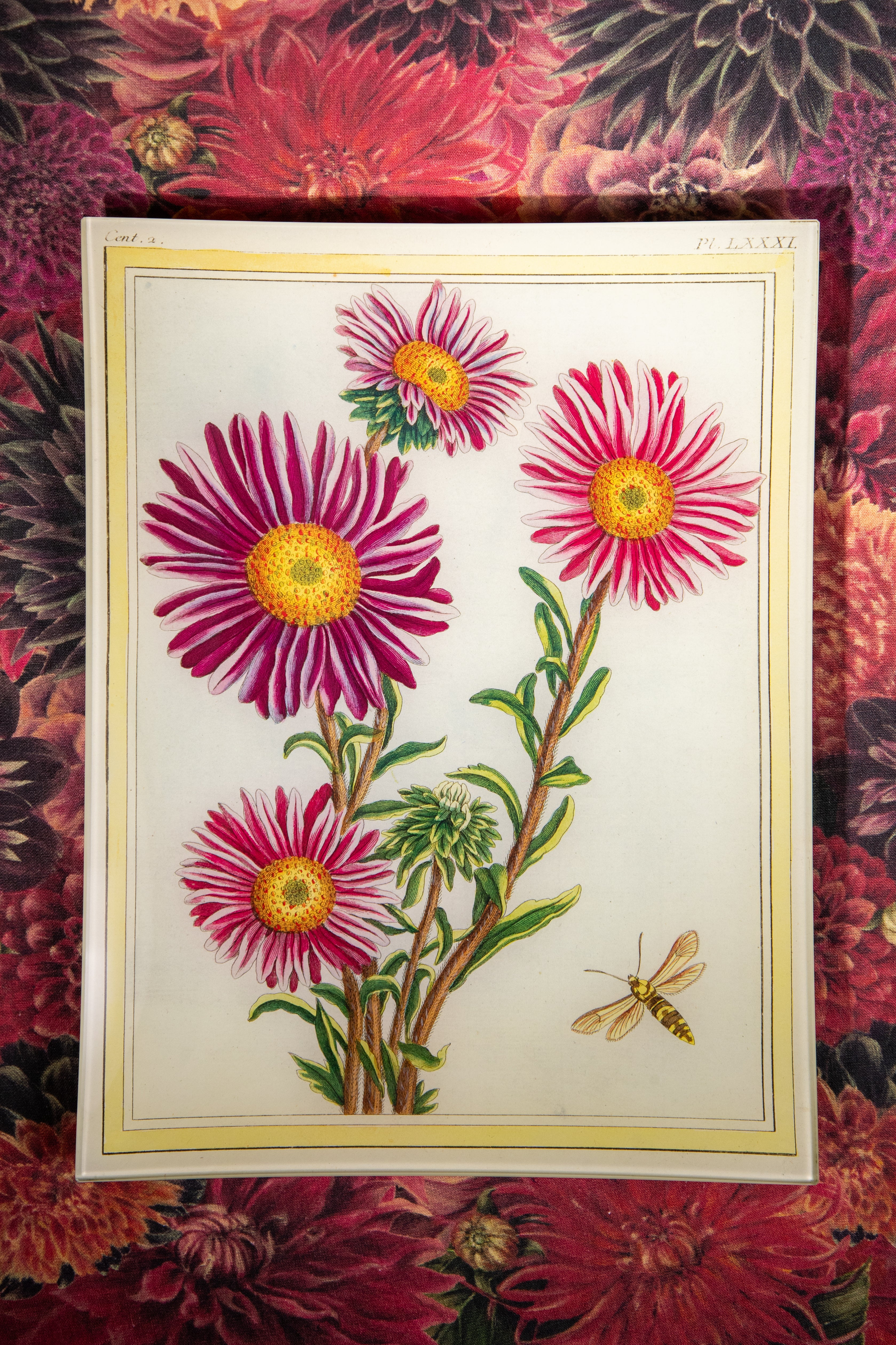 John Derian 'Asters' Tray, 25 x 33cm