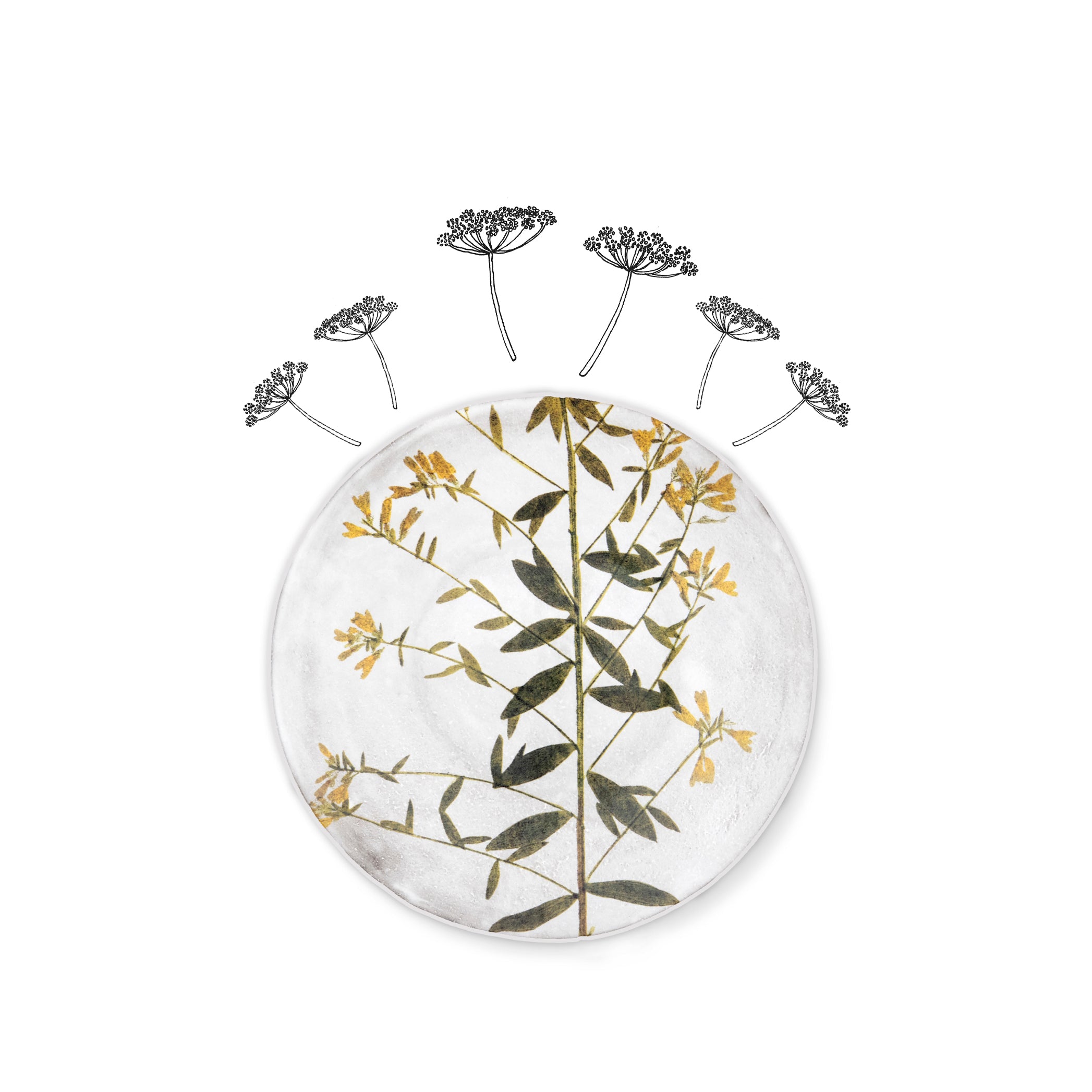 Genista Leaf Plate by Astier de Villatte, 24cm