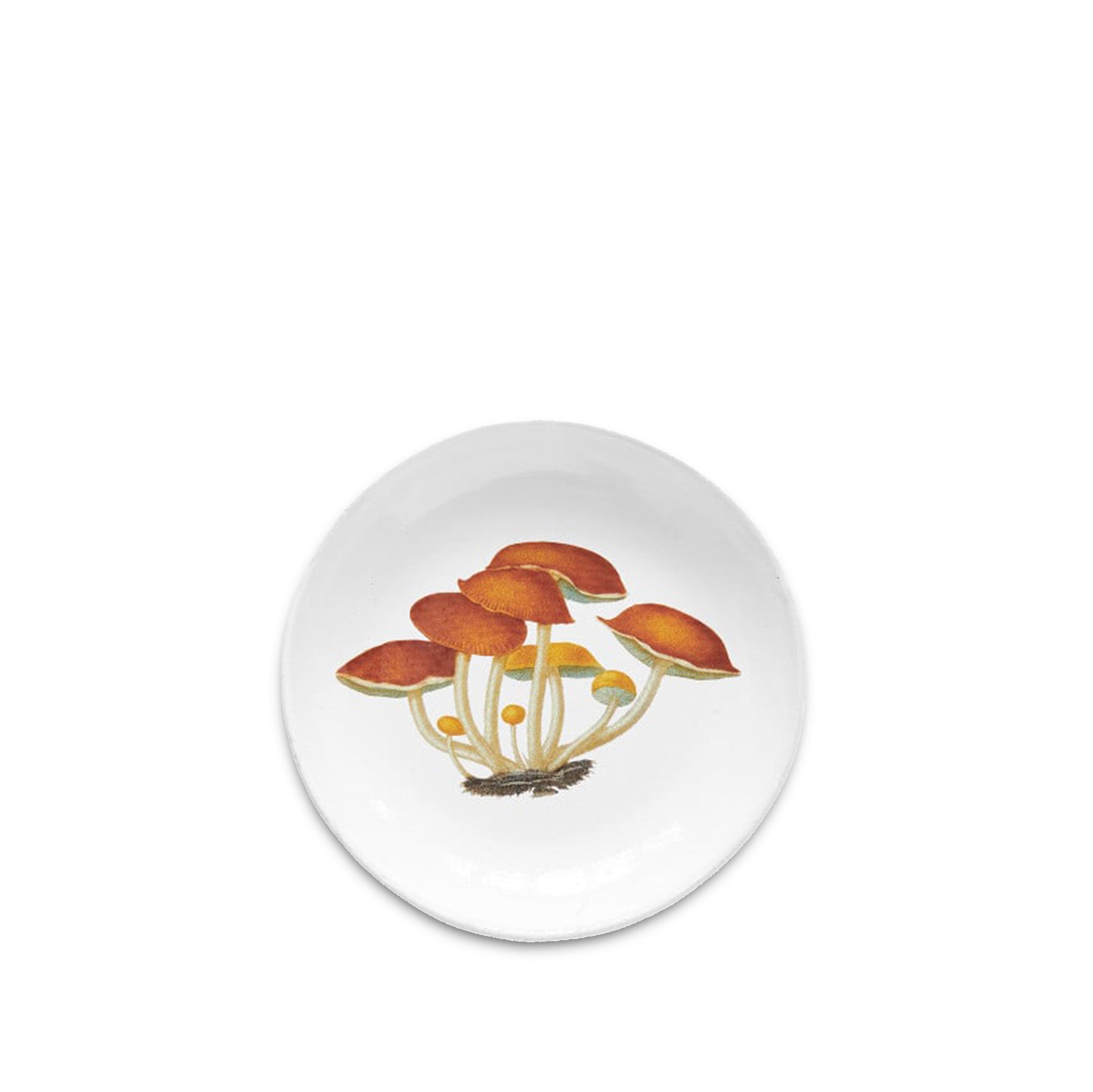 Agaric Amer Mushrooms Deep Plate by Astier de Villatte, 19cm