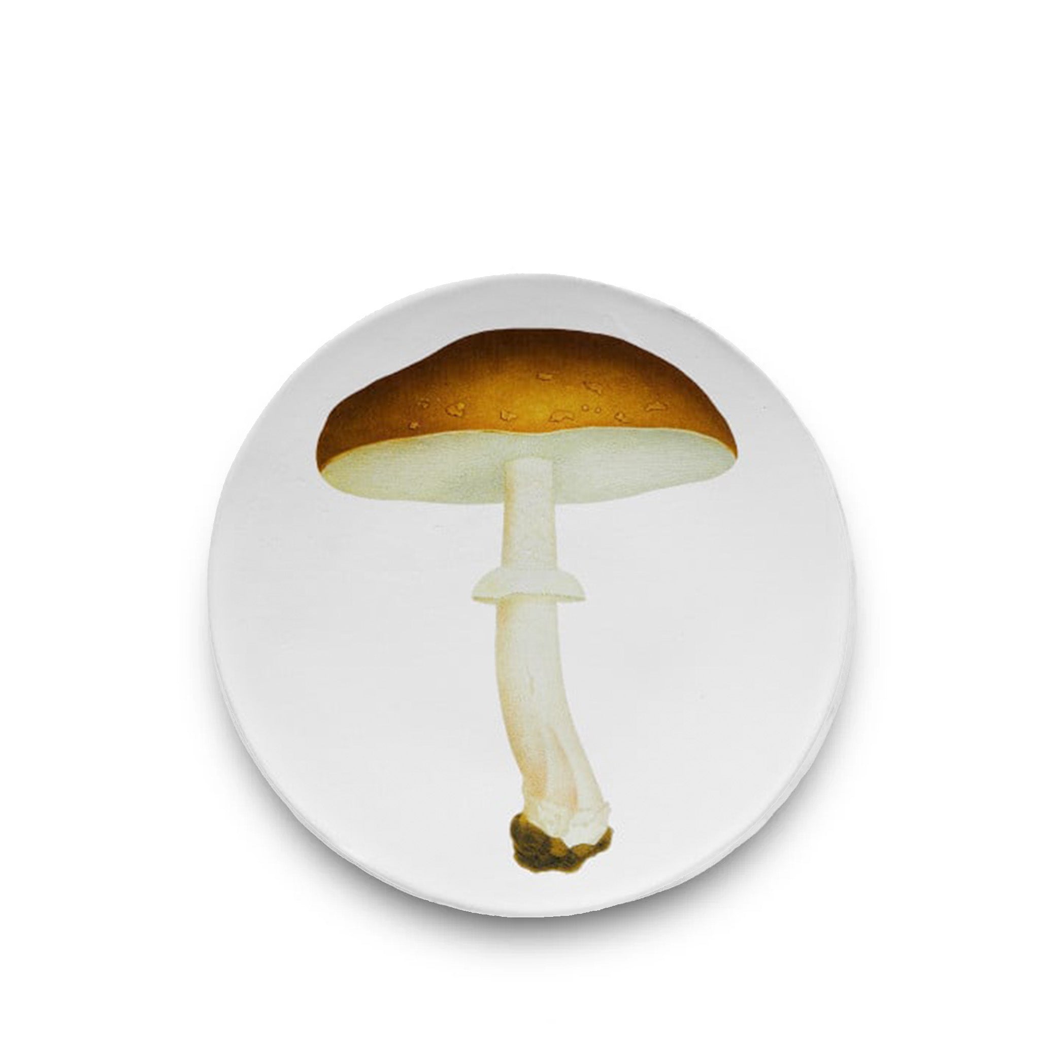 Agaric Blanc Fauve Mushroom Dinner Plate by Astier de Villatte, 26.5cm