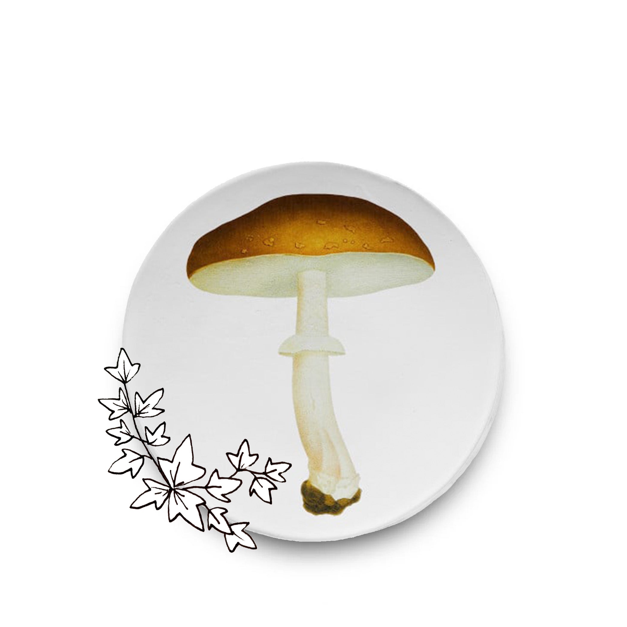 Agaric Blanc Fauve Mushroom Dinner Plate by Astier de Villatte, 26.5cm