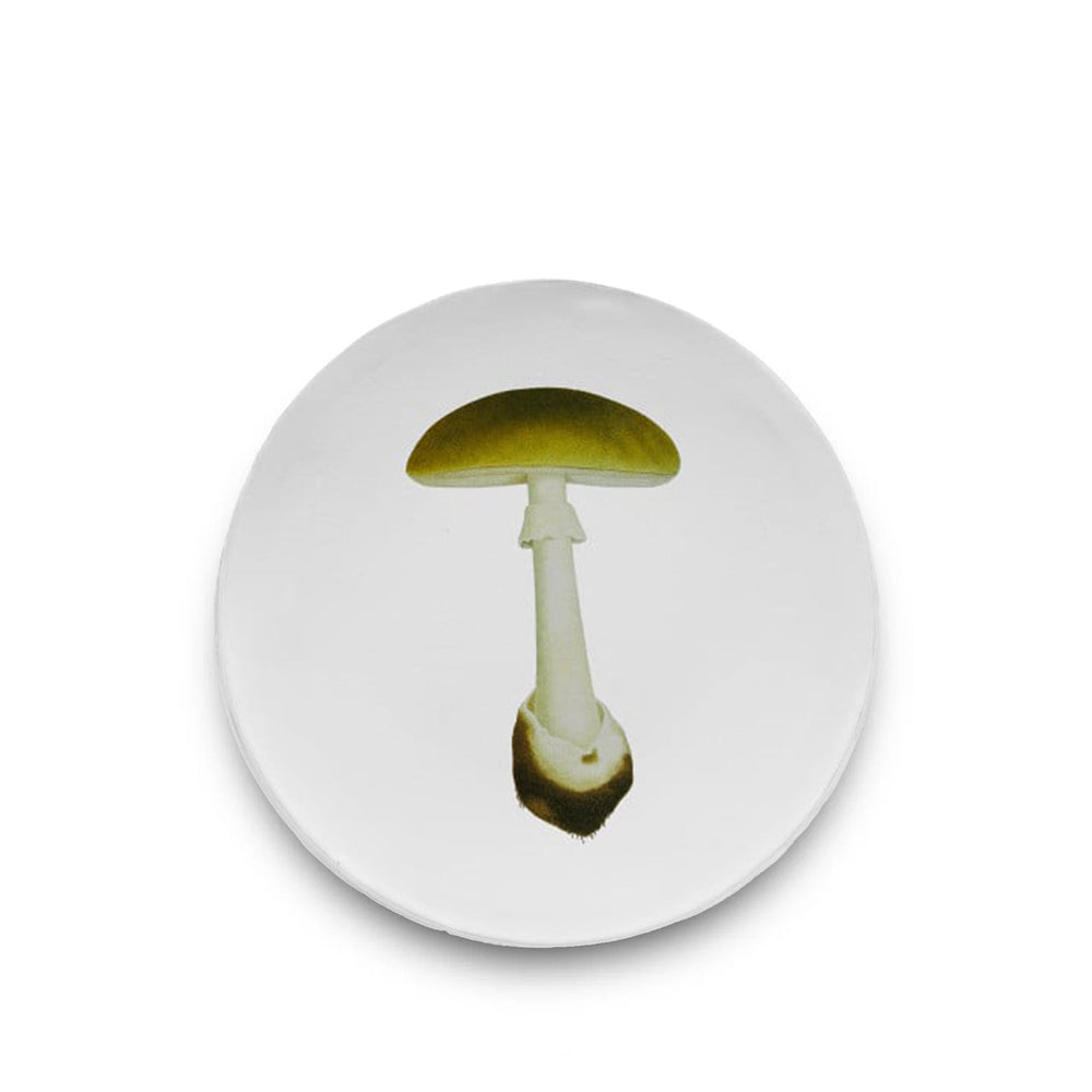 Agaric Bulbeux Mushroom Dinner Plate by Astier de Villatte,  26.5cm