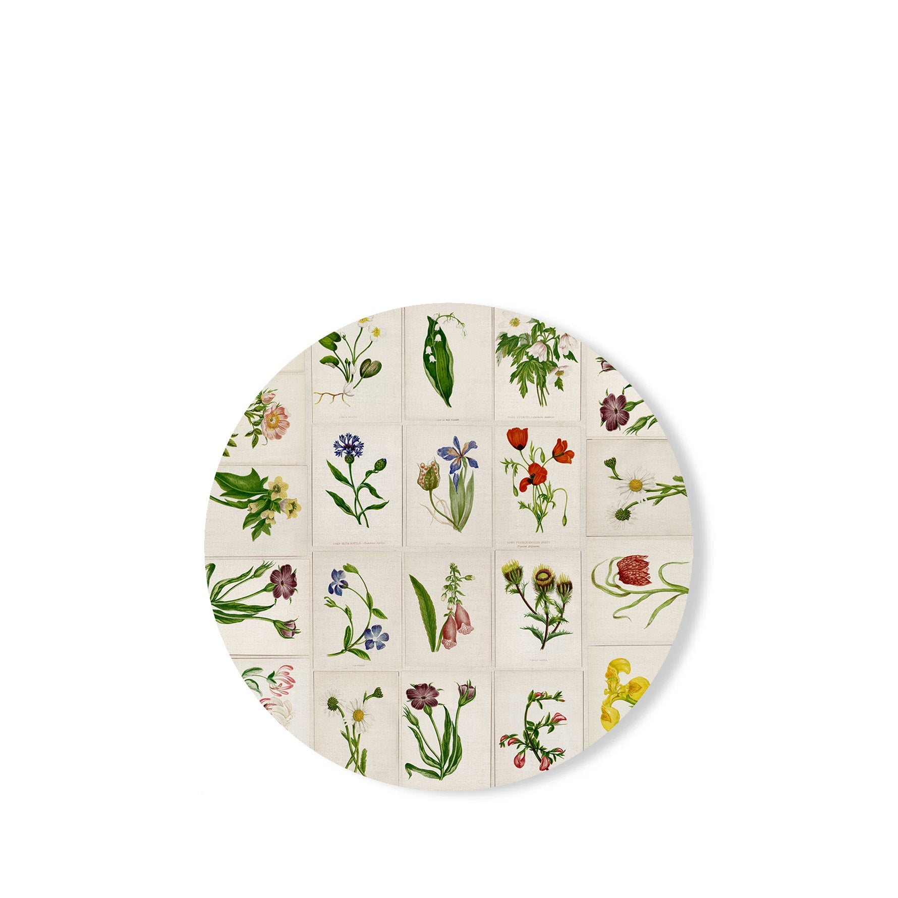 S&B x John Derian 'Botanical Tiles' Round Cork-Backed Placemat, 34cm