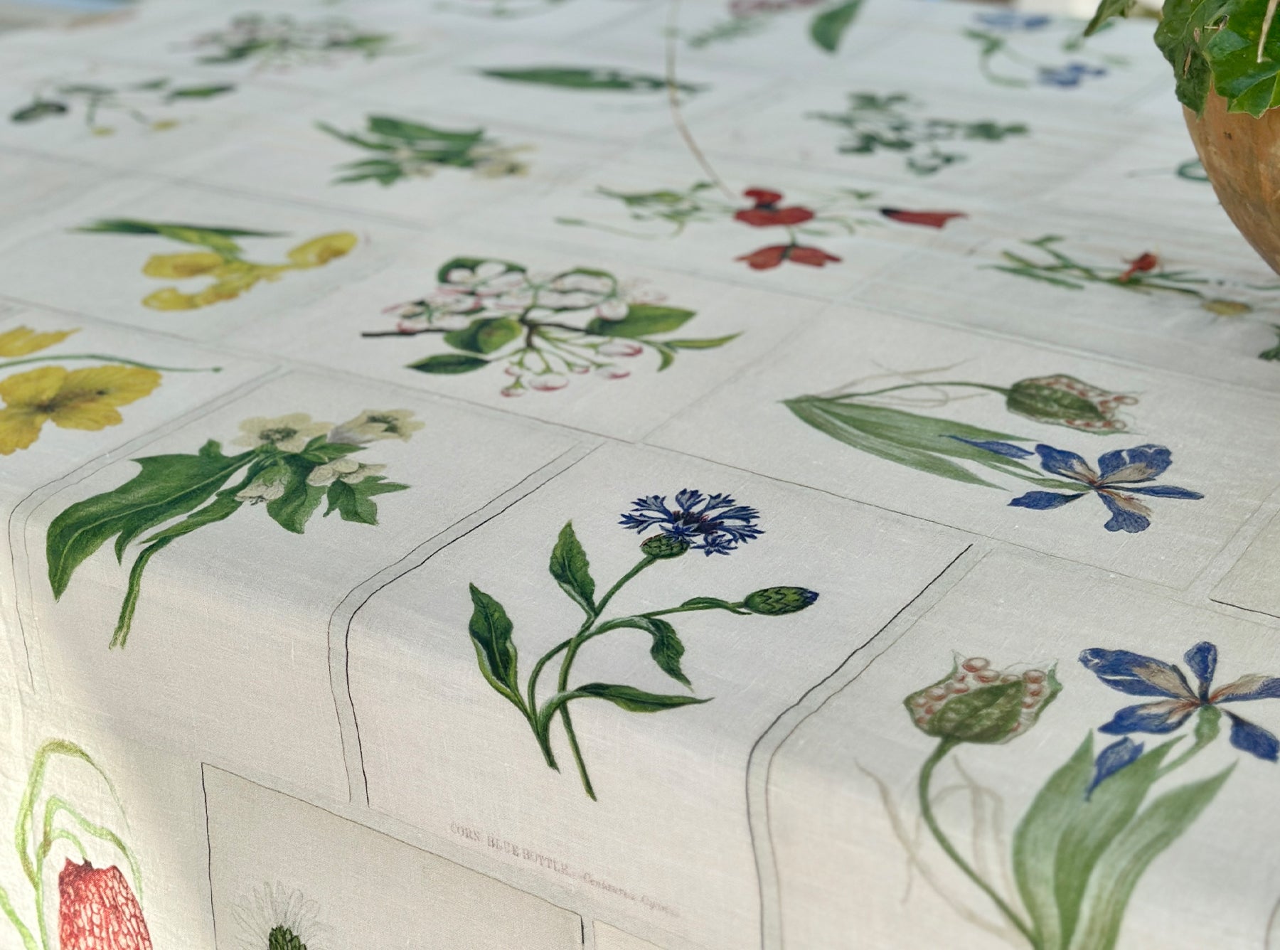 S&B x John Derian 'Botanical Tiles' Linen Tablecloth