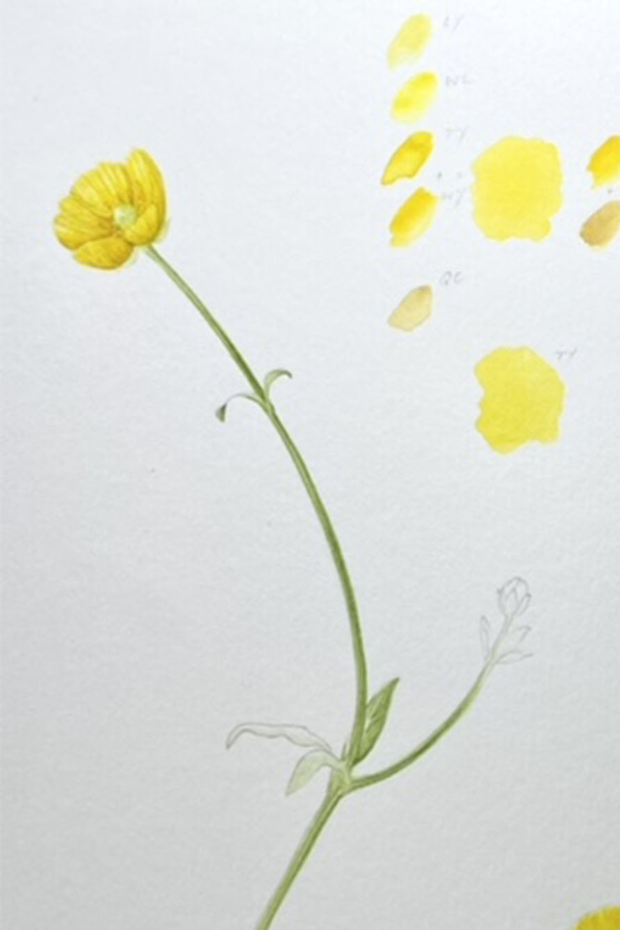'Buttercup' Linen Tablecloth