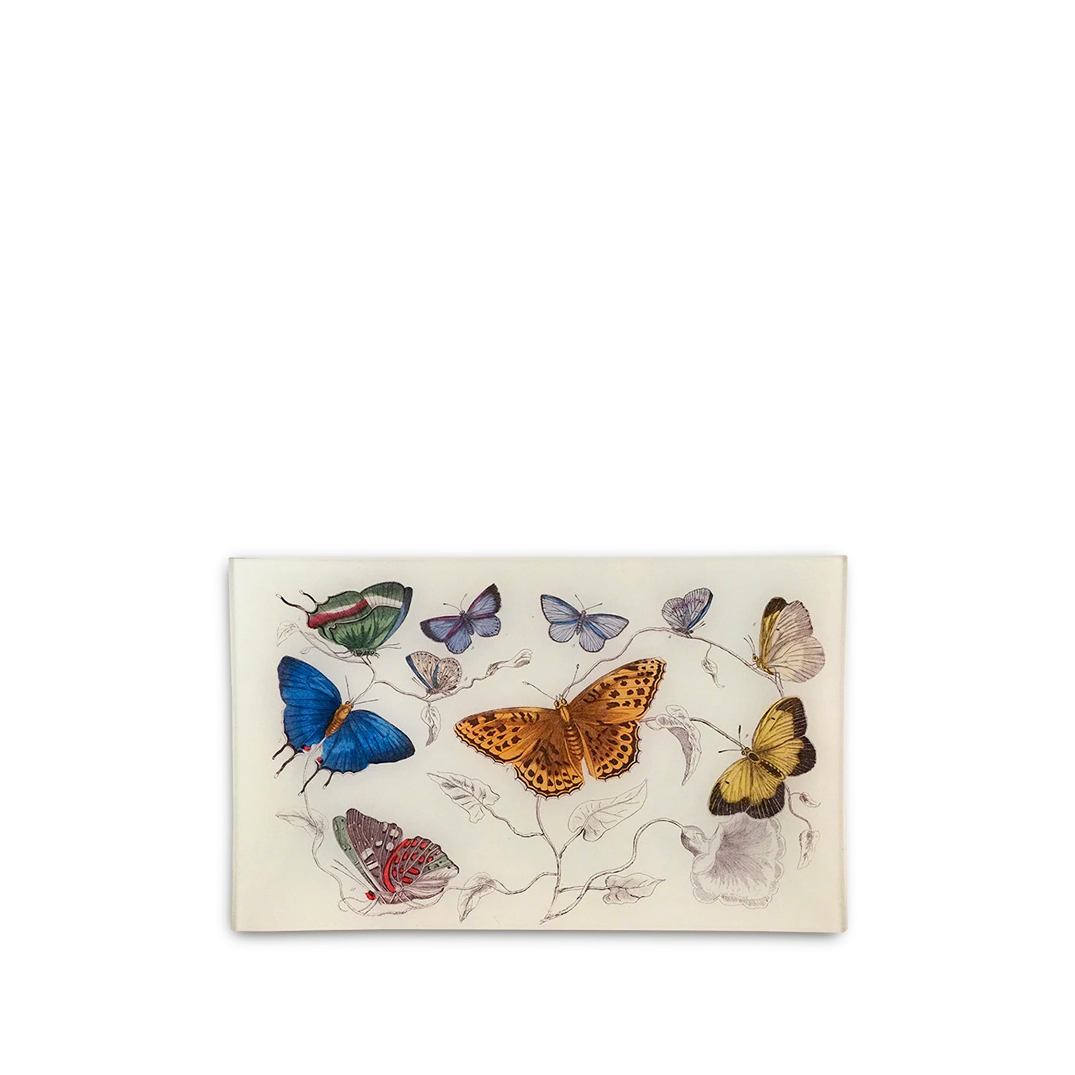John Derian 'Butterflies' Rectangular Tray, 18 x 29cm