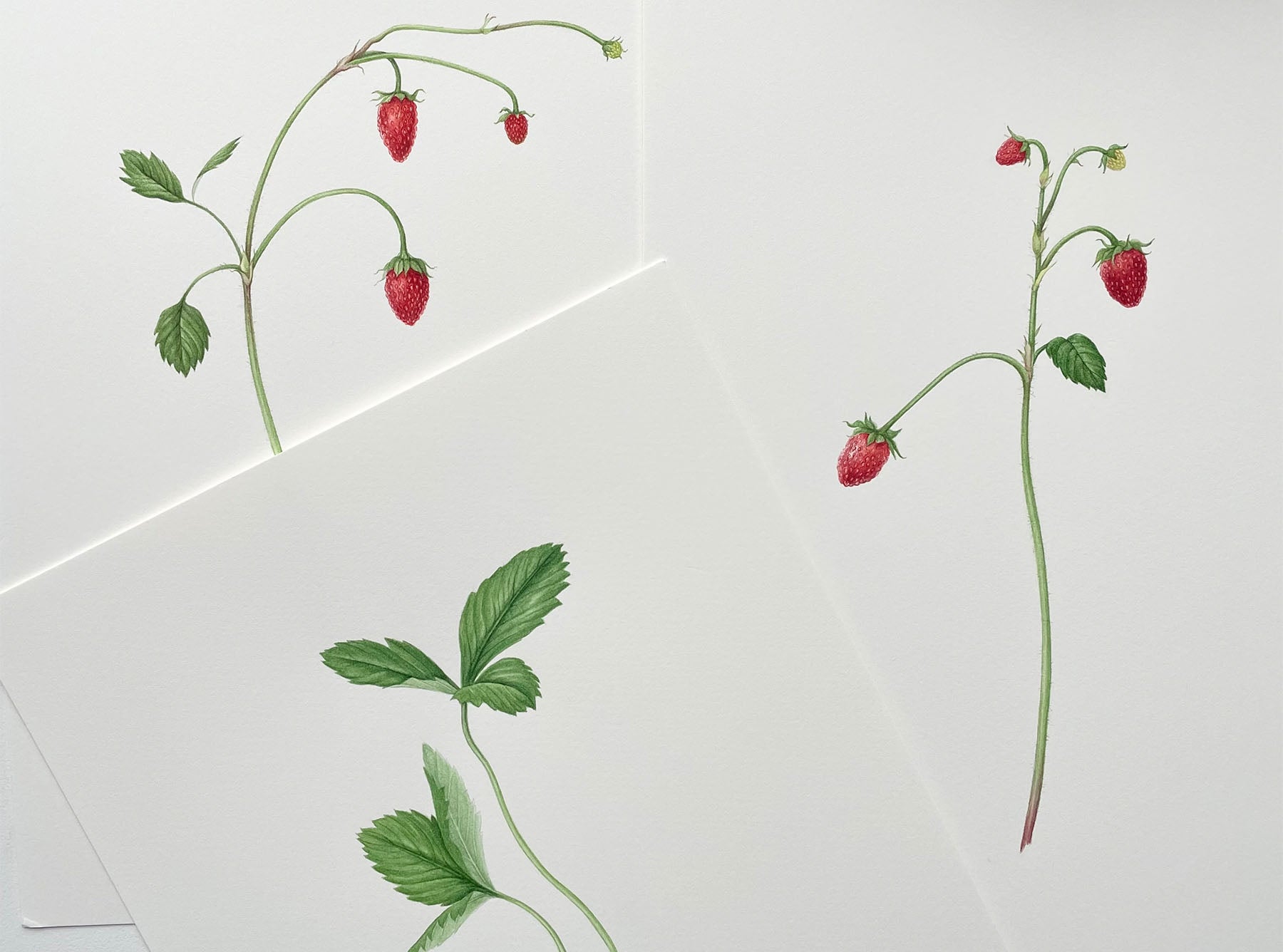 'Fraises des Bois' Linen Tablecloth