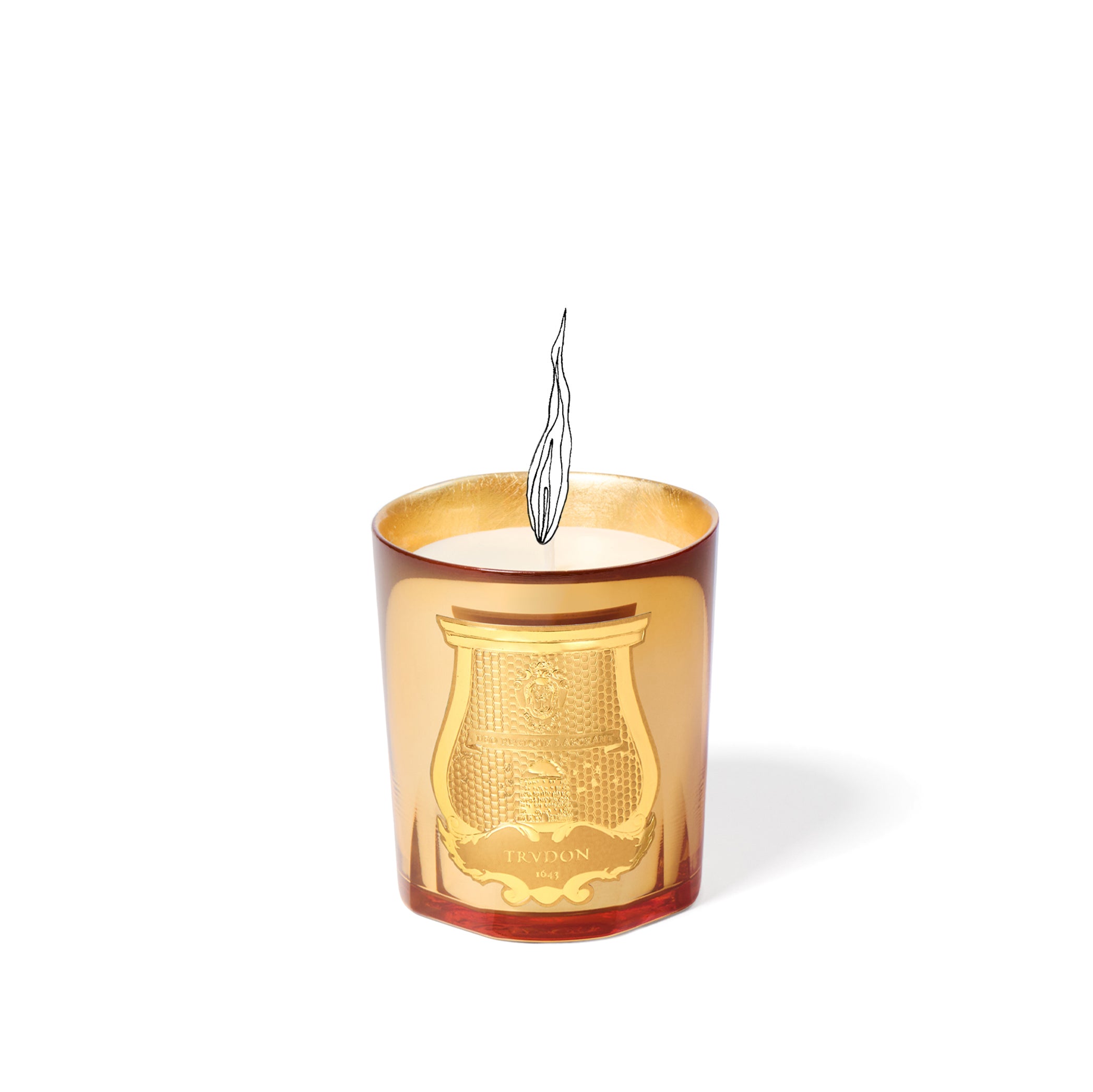 'Galerie des Flammes' Woody Smoky Scented Candle, 'Nuit des Glaces' Special Edition by Trudon, 270g (Gold)