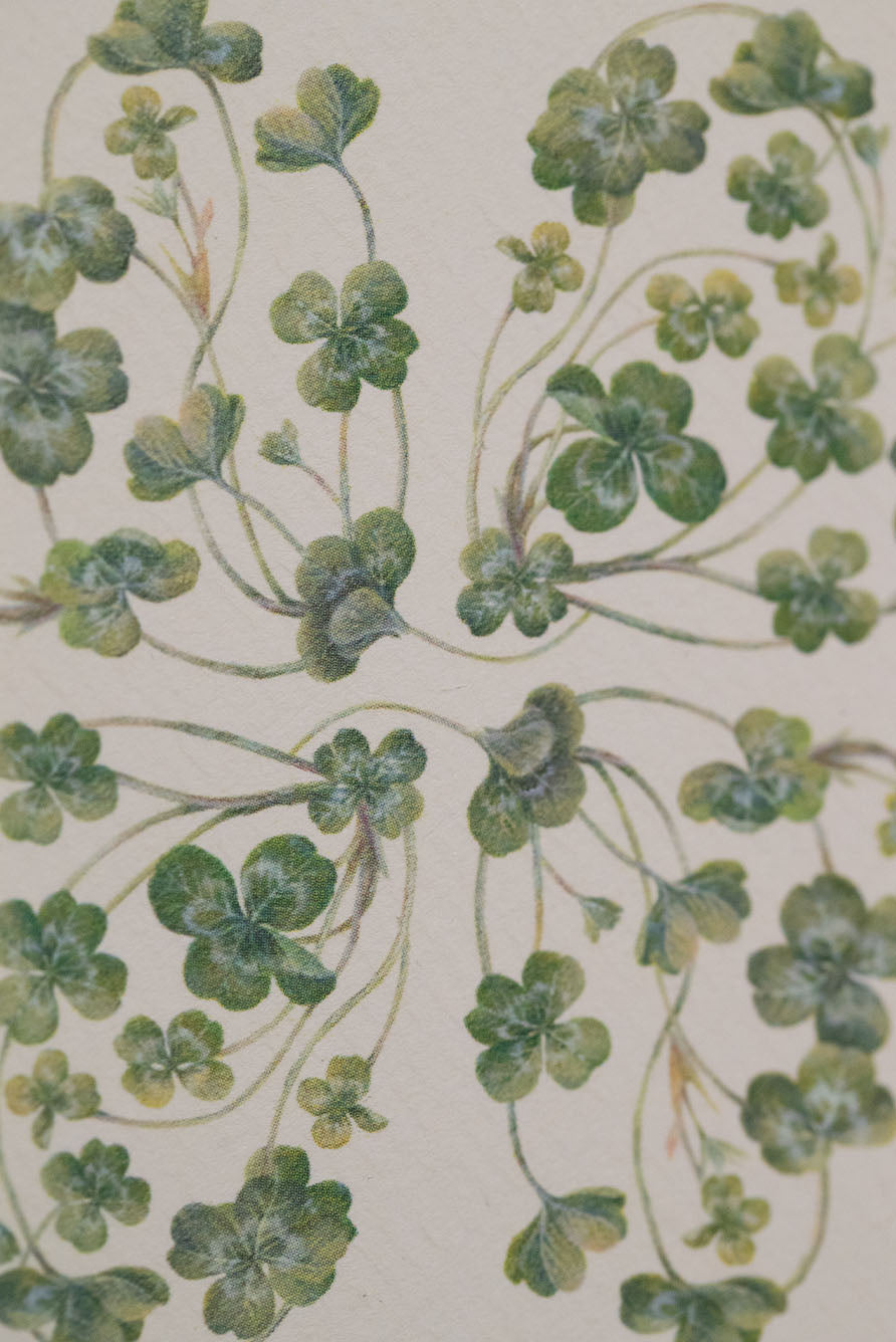 'Clover' Greeting Card, 15cm x 10cm (A6)