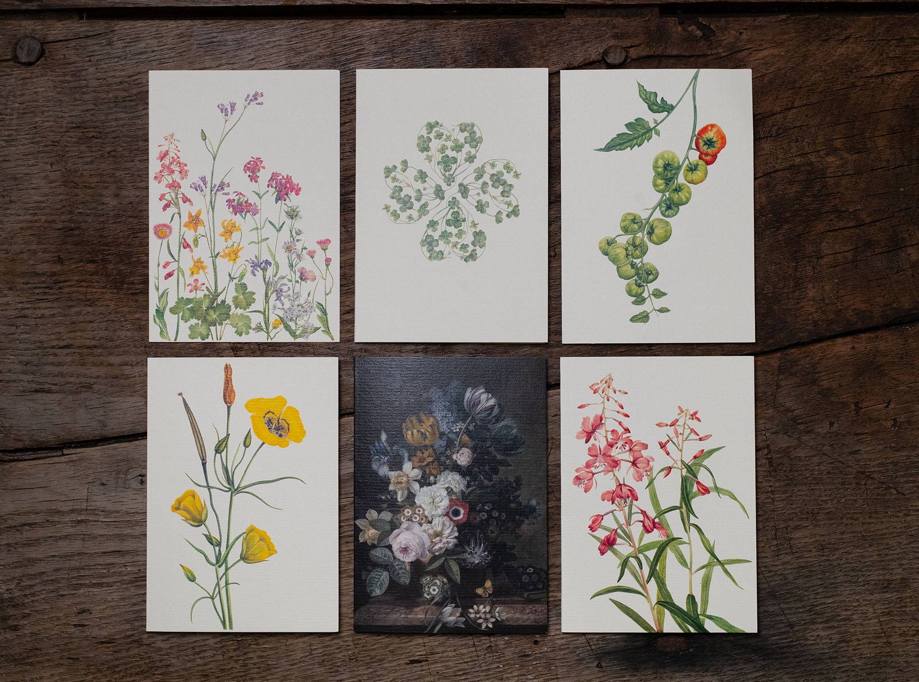 'June's Flowers' Greeting Card, 15cm x 10cm (A6)