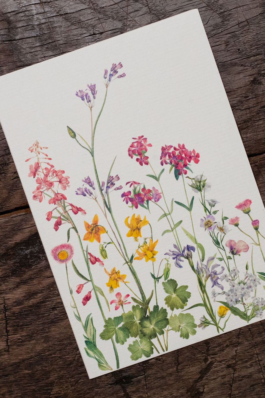 'June's Flowers' Greeting Card, 15cm x 10cm (A6)