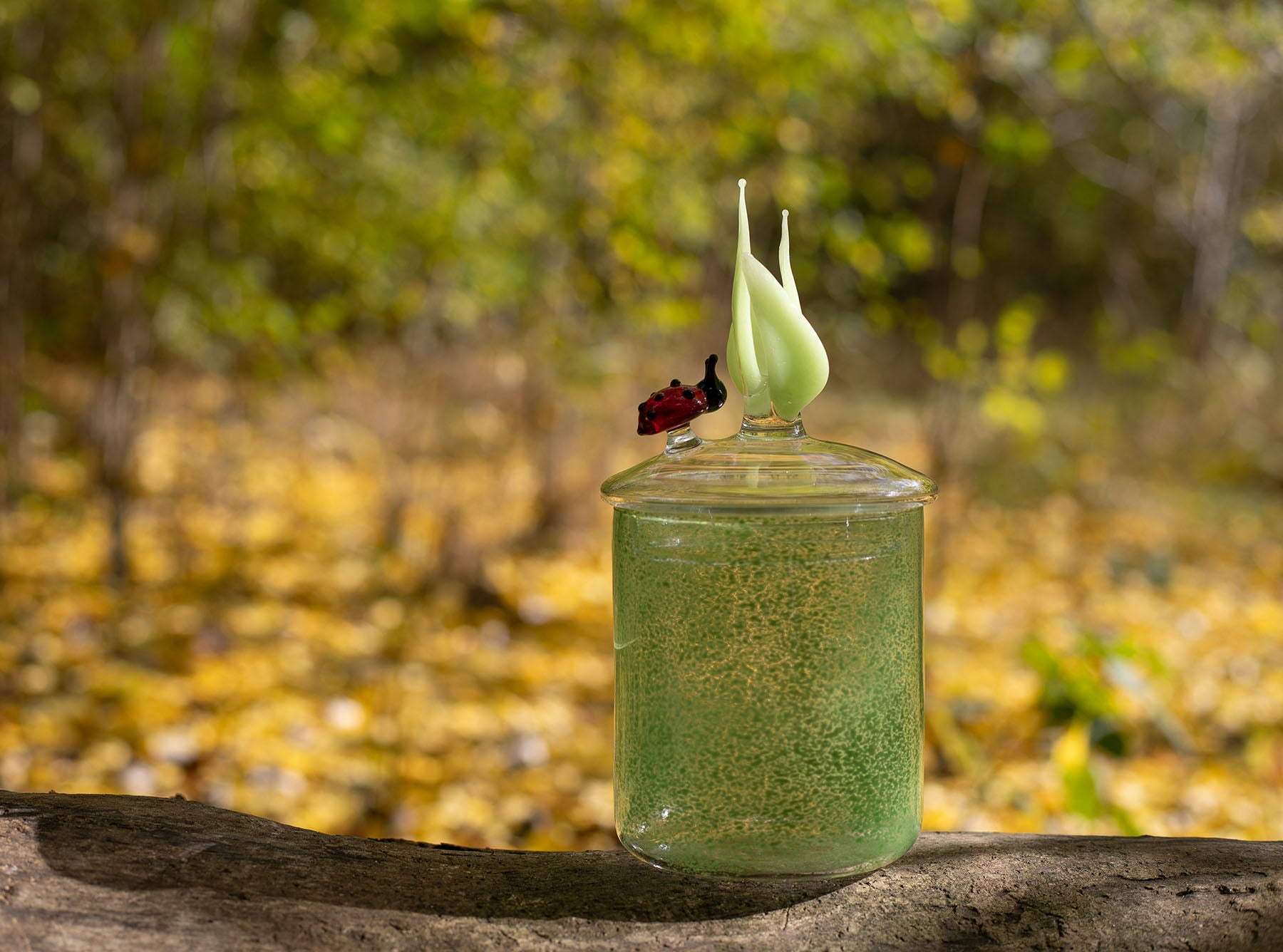 Handblown Glass Green Ladybug Jar, 17.5cm