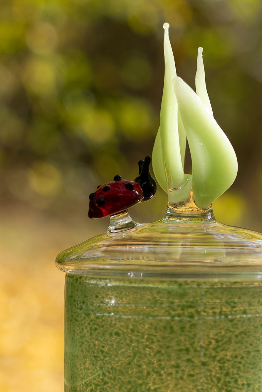 Handblown Glass Green Ladybug Jar, 17.5cm