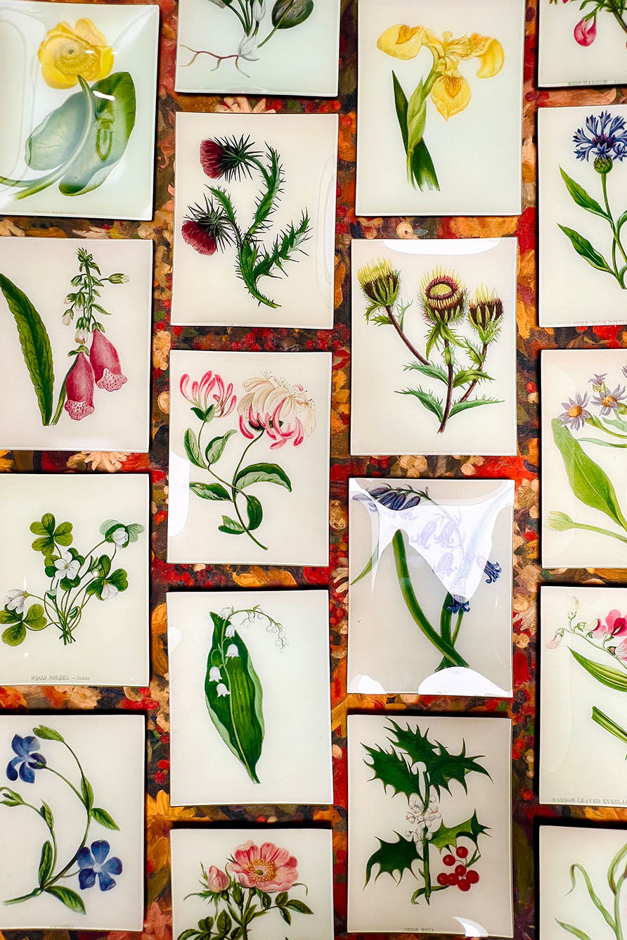 John Derian 'Common Holly' Rectangular Tray, 20 x 27cm