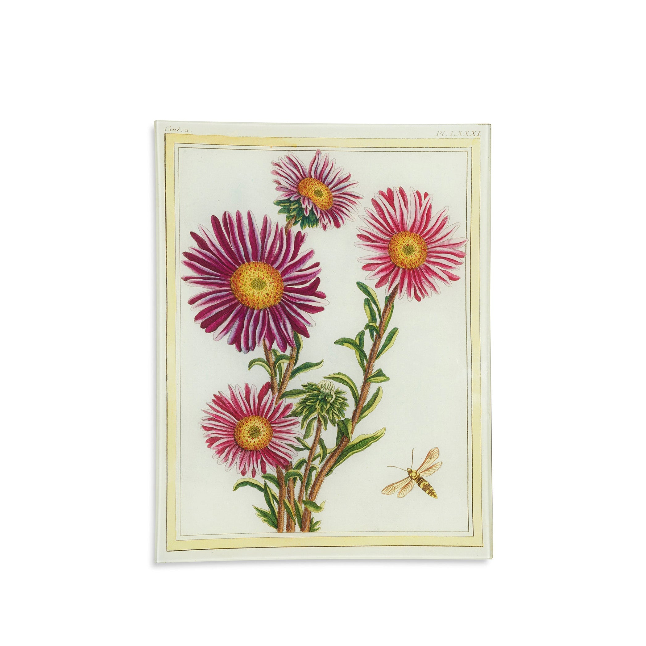 John Derian 'Asters' Tray, 25 x 33cm