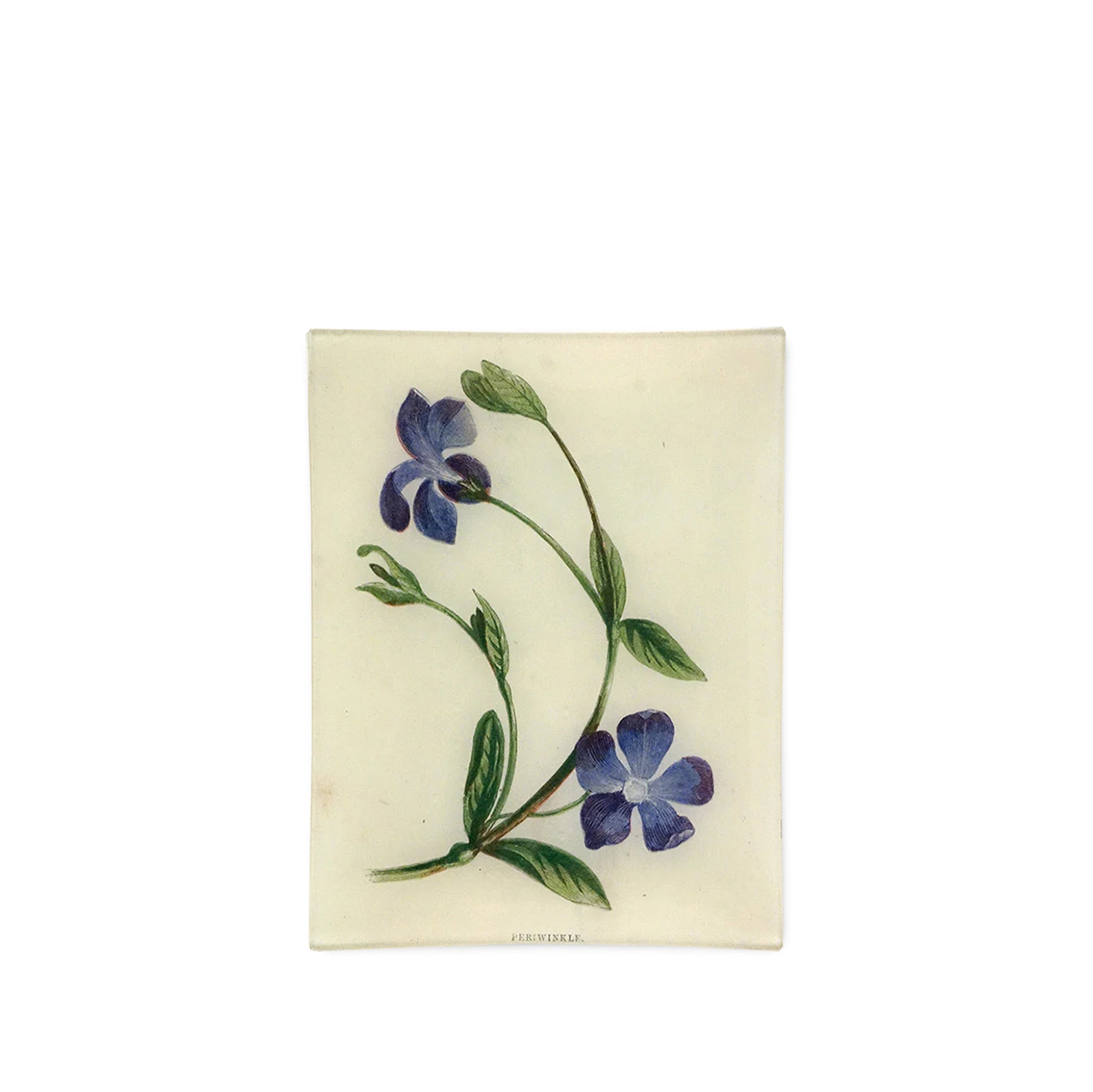 John Derian 'Periwinkle' Rectangular Tray, 20 x 27cm