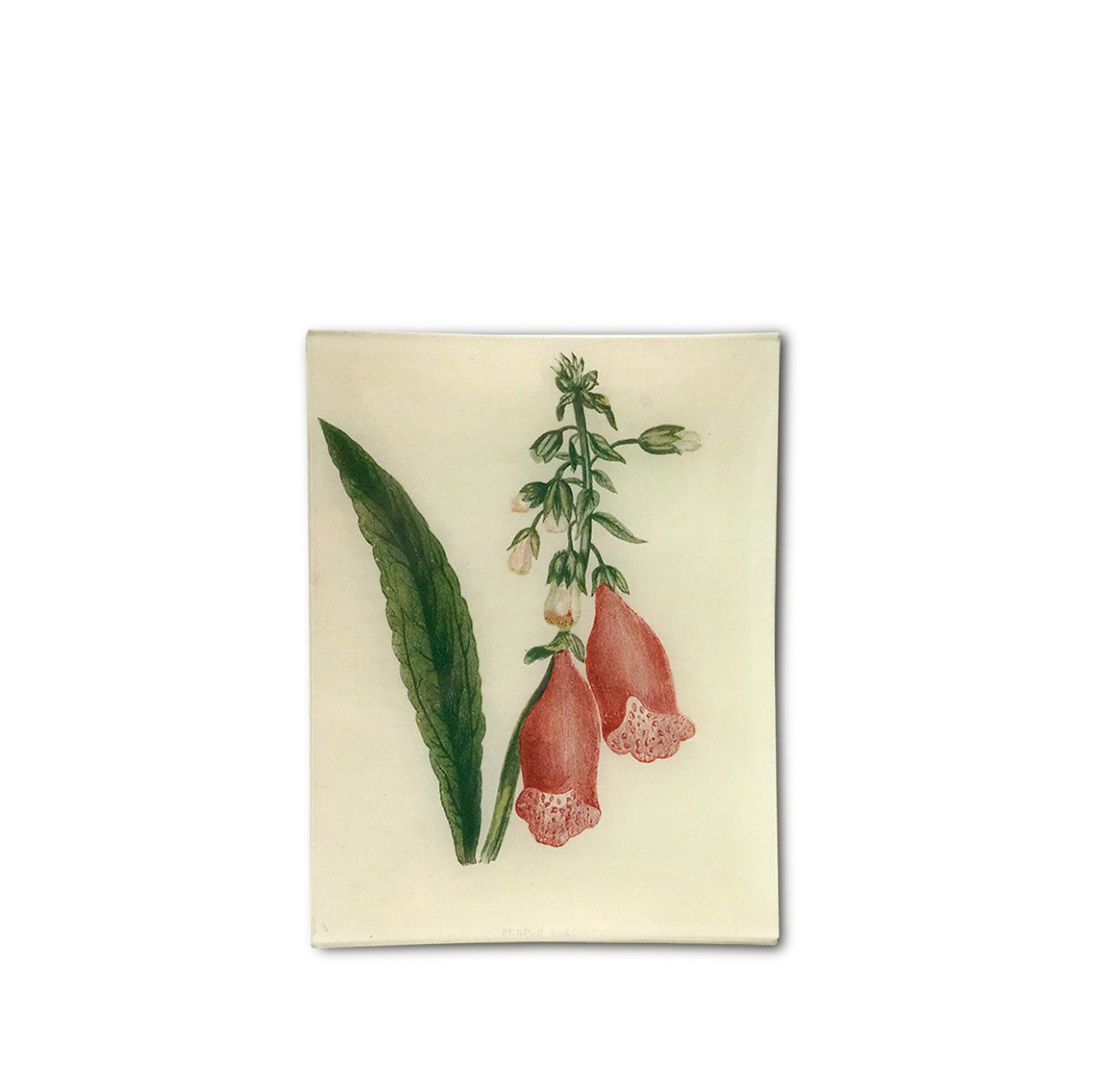 John Derian 'Purple Foxgloves' Rectangular Tray, 20 x 27cm