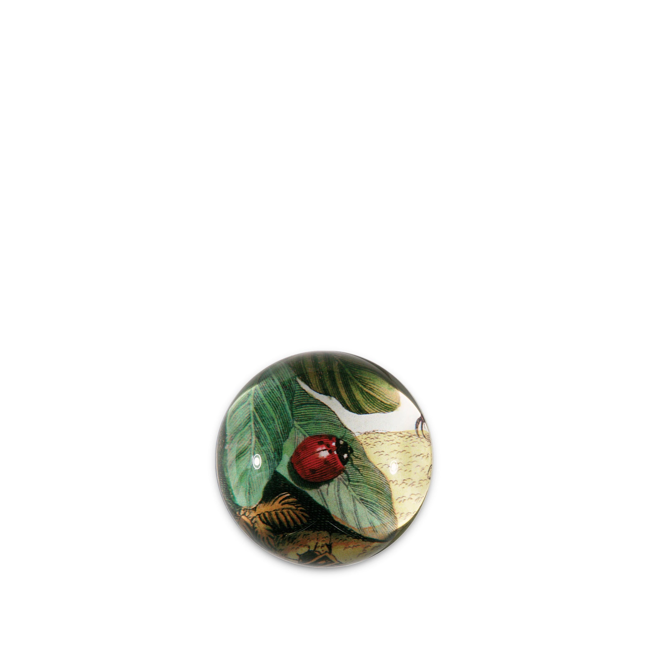 John Derian 'Ladybug' Paperweight, 9cm