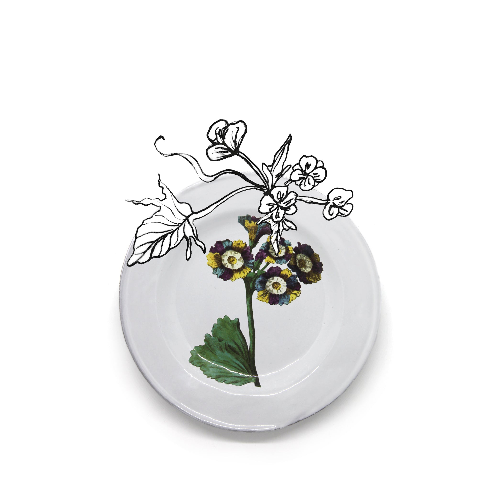 Lord Willoughby's Auricula Flower Plate by Astier de Villatte, 22cm