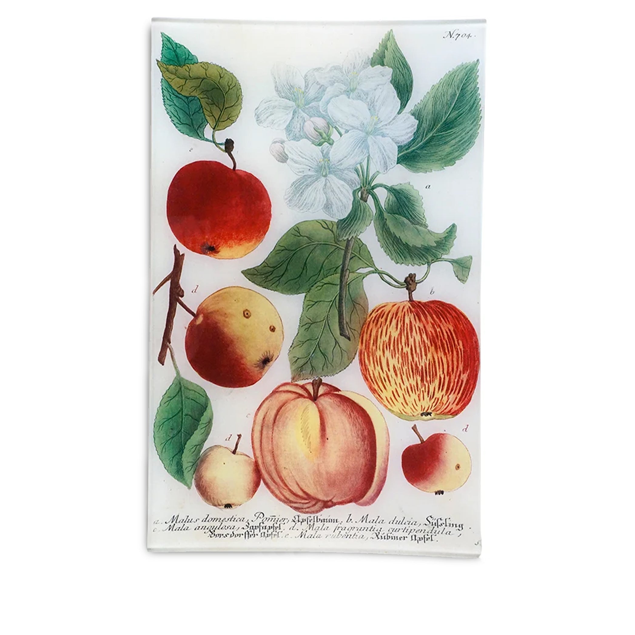 John Derian N. 704 Orchard Apples Rectangular XL tray, 25 x 40cm